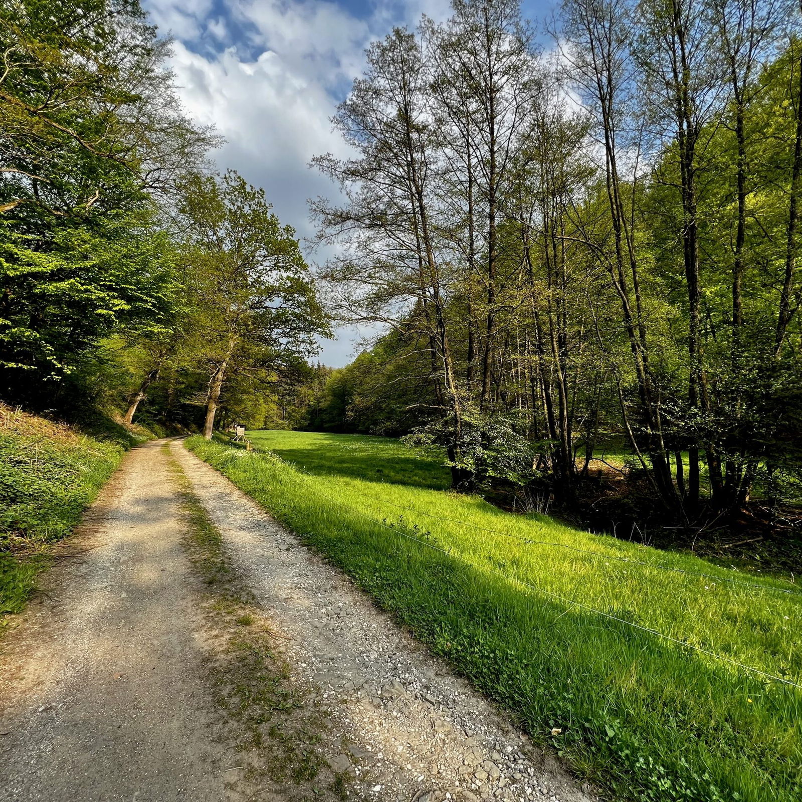 Schotterpiste im Feisternachtbachtal