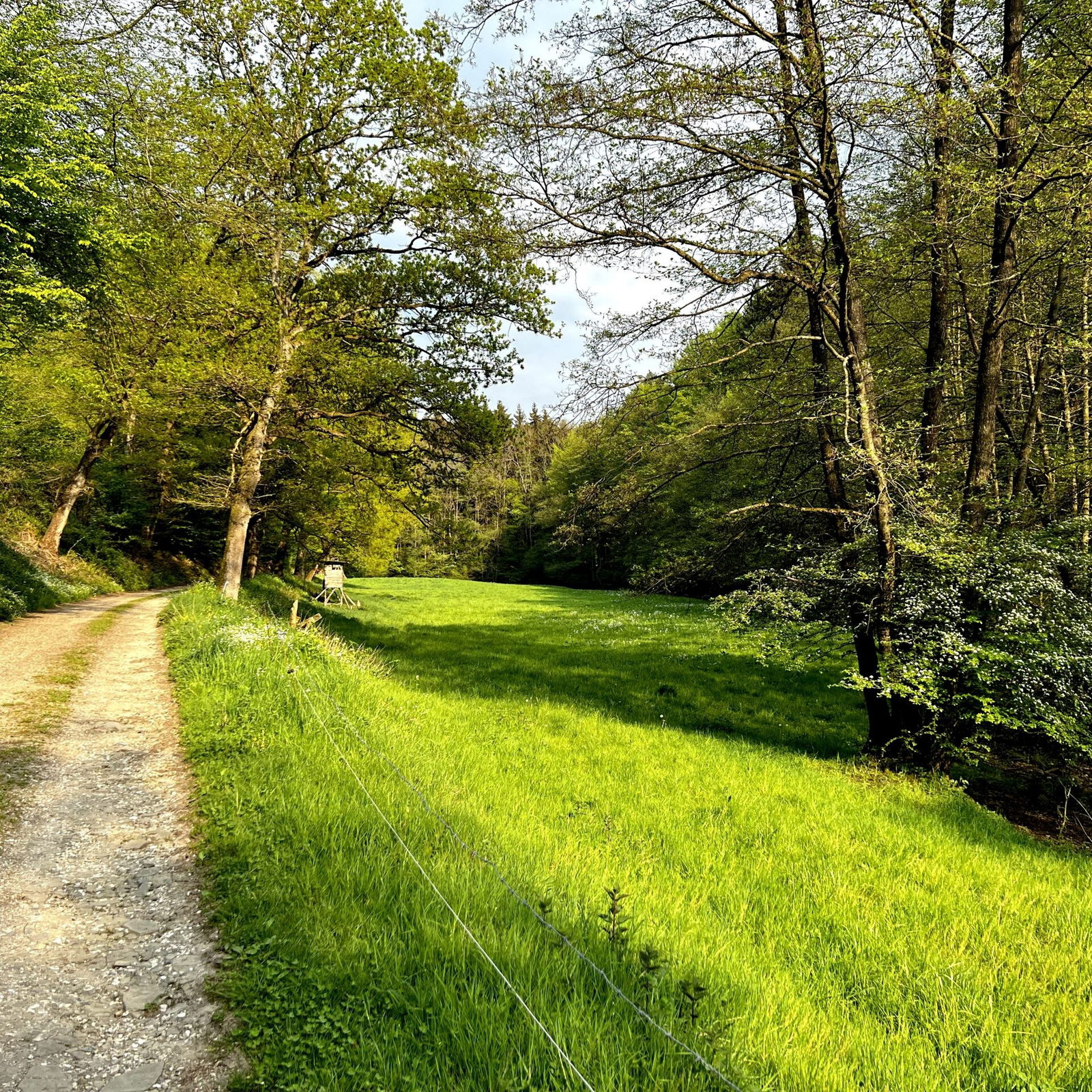 Schotterpiste im Feisternachtbachtal