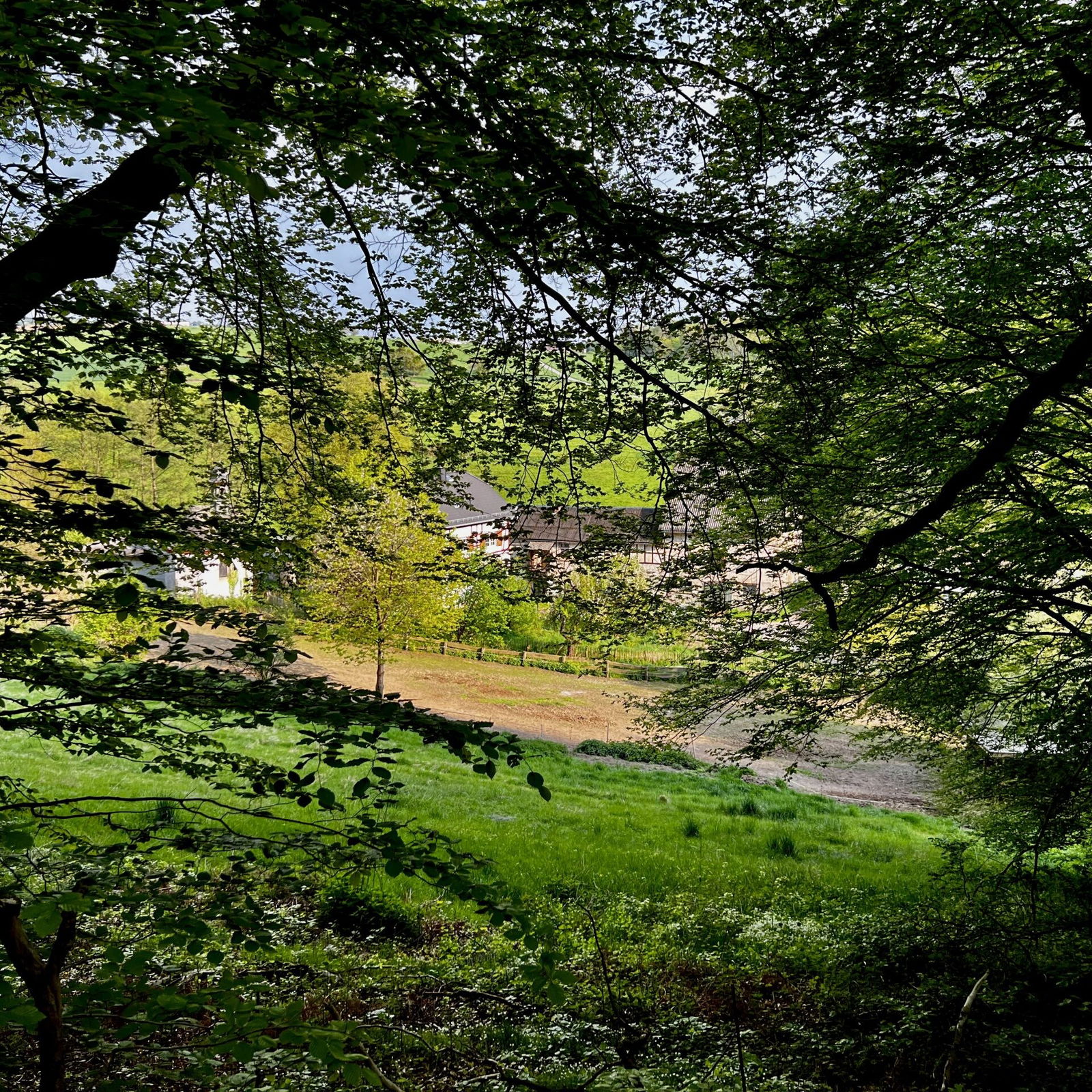 Versteckter Blick auf die Bembermühle