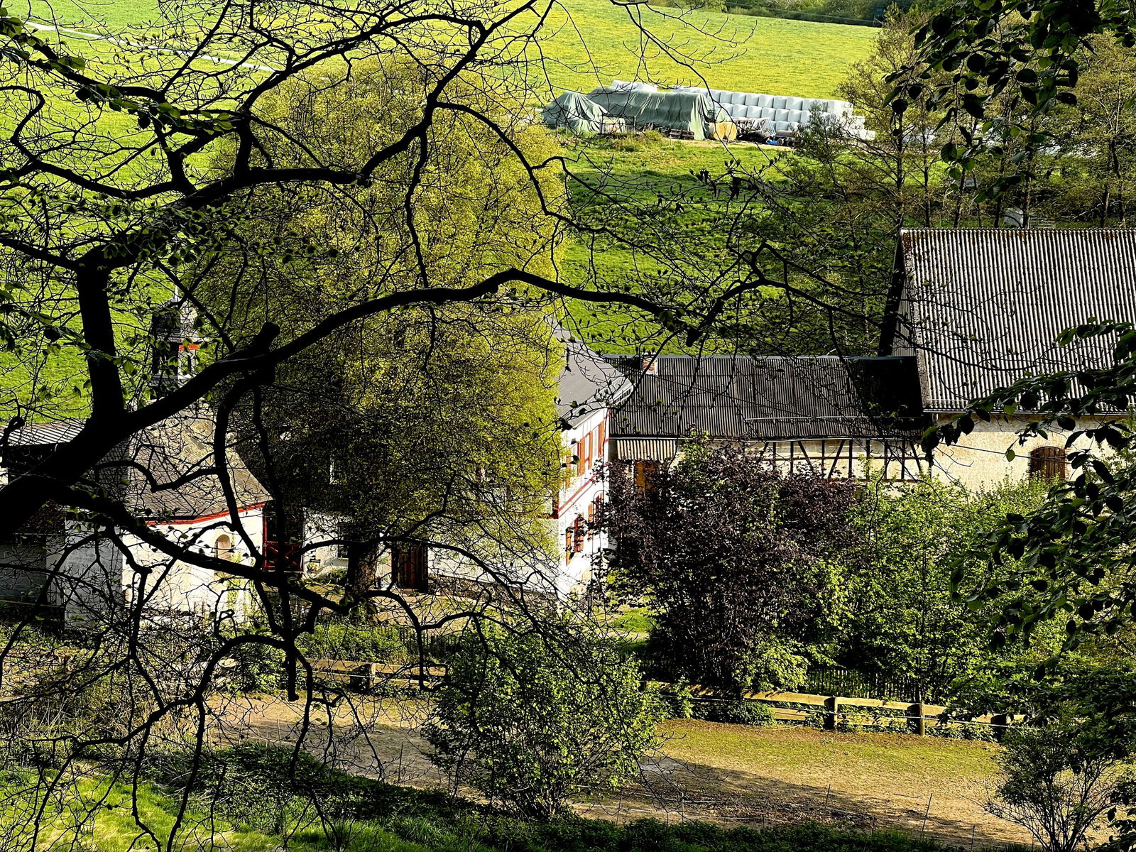 Versteckter Blick auf die Bembermühle