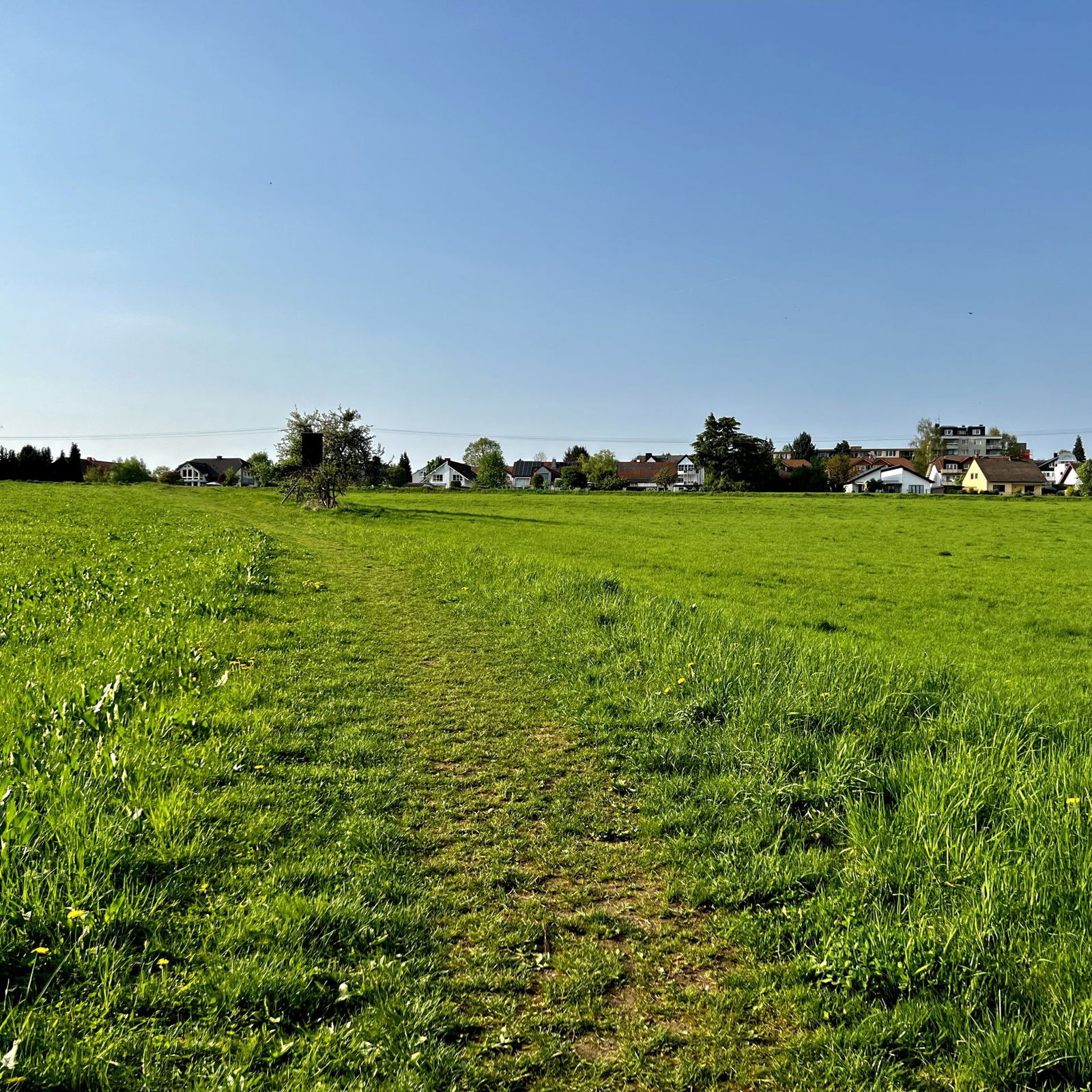 Über die Wiese zum Wäller Weg