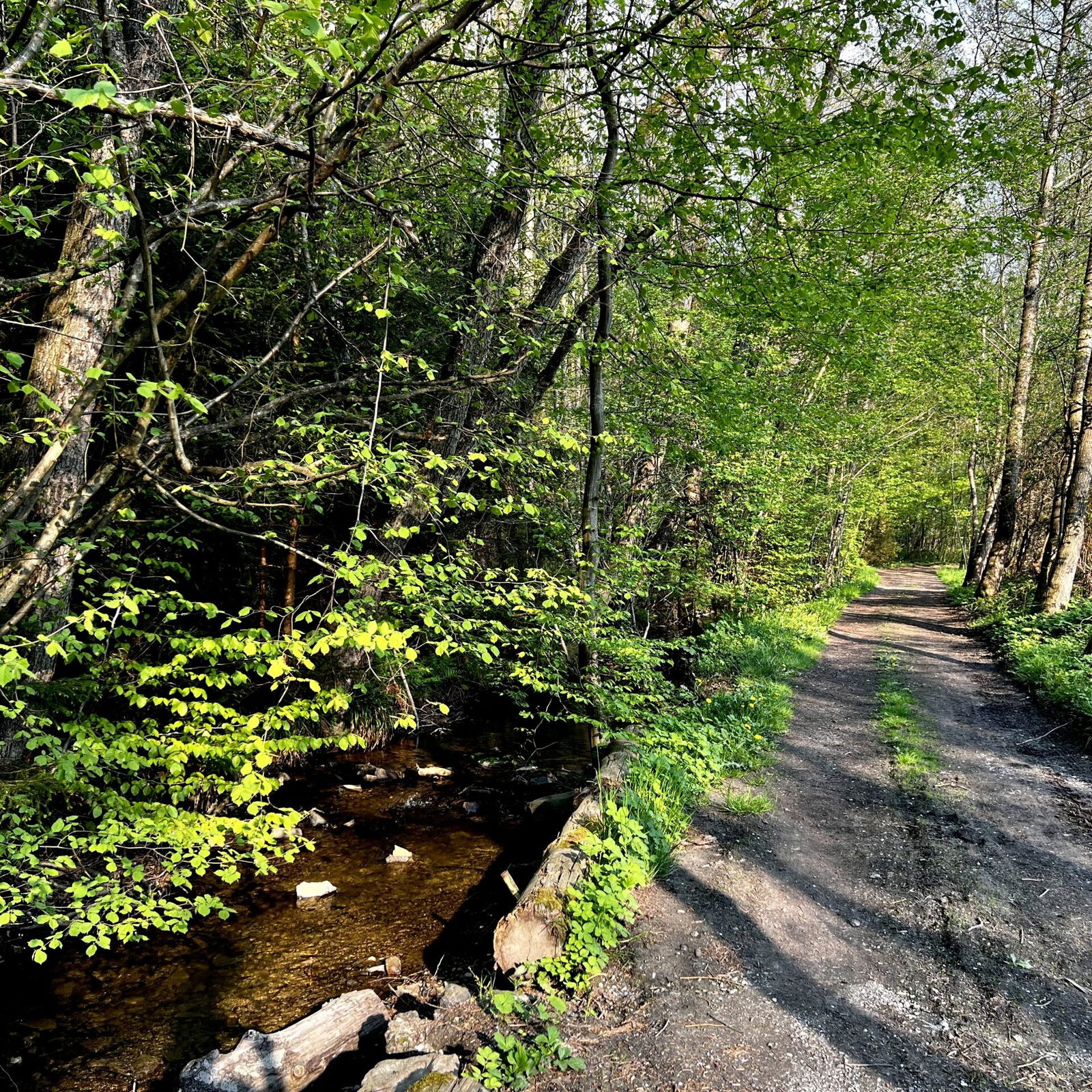 Am Brexbach Richtung schwarzes Meer