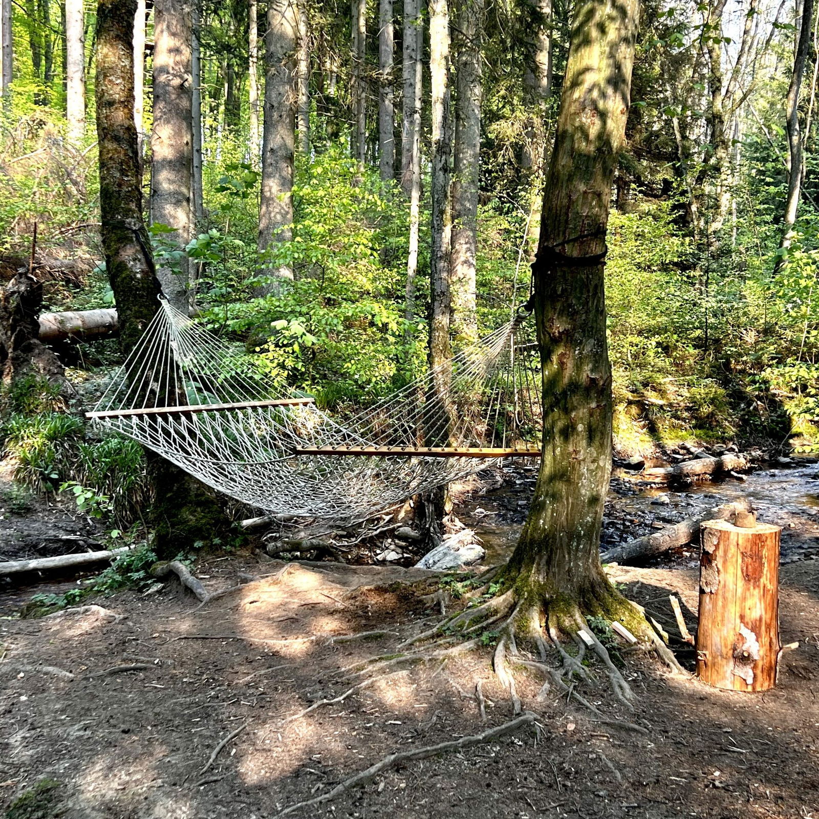 Relaxzone am Brexbach