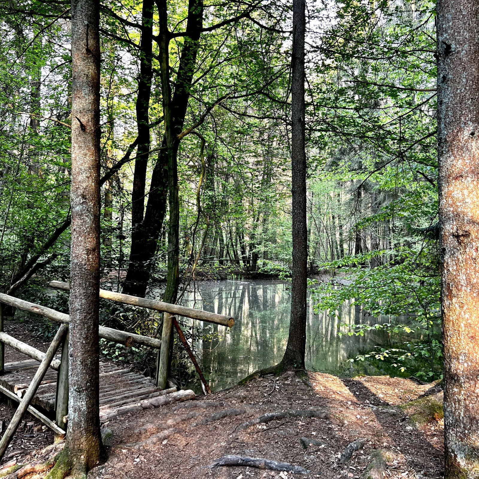 Holpriger Weg und Brücken am schwaren Meer
