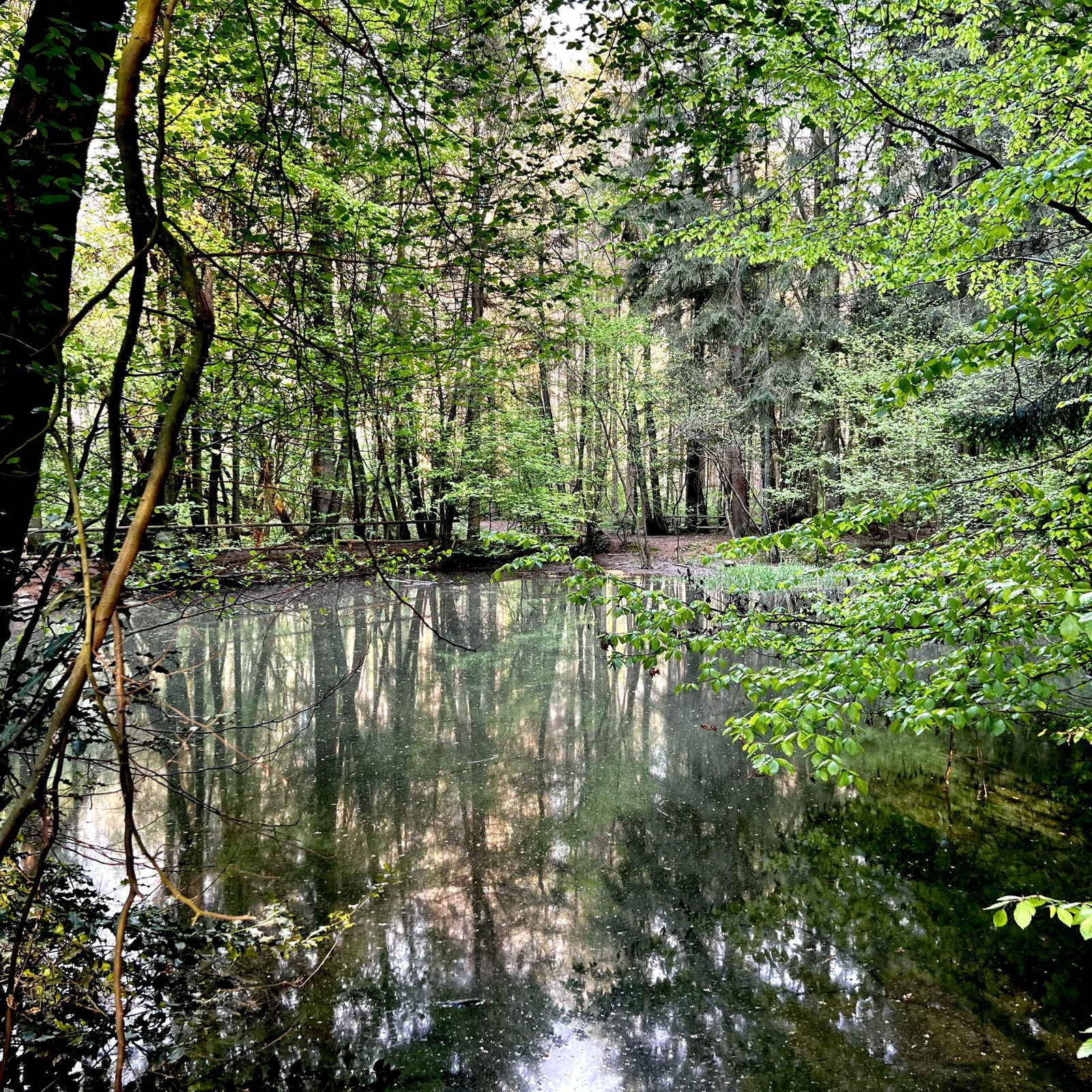 Blick aufs schwarze Meer