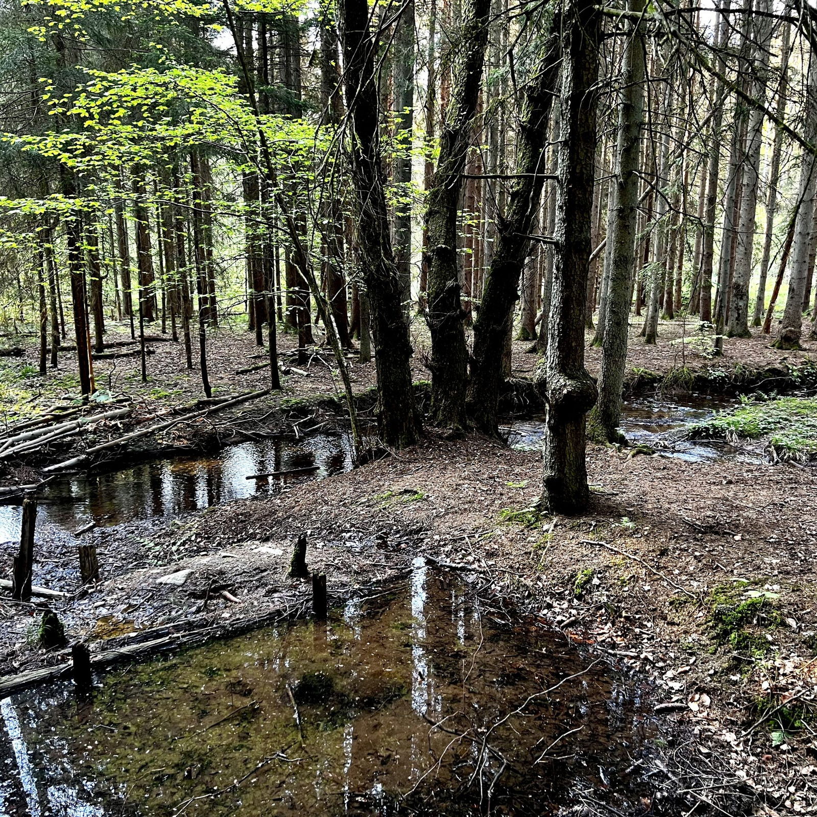 Am Brexbach und schwarzem Meer