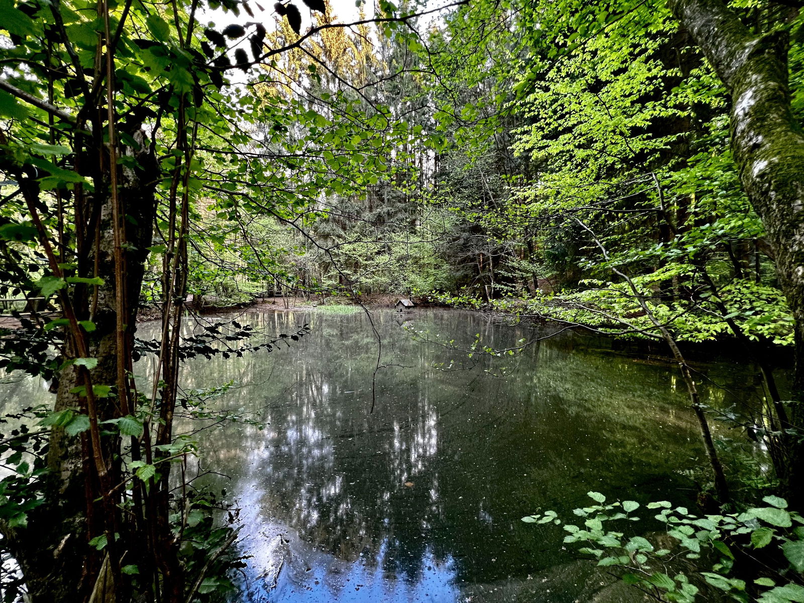 Märchenhafte Ecke am schwarzen Meer
