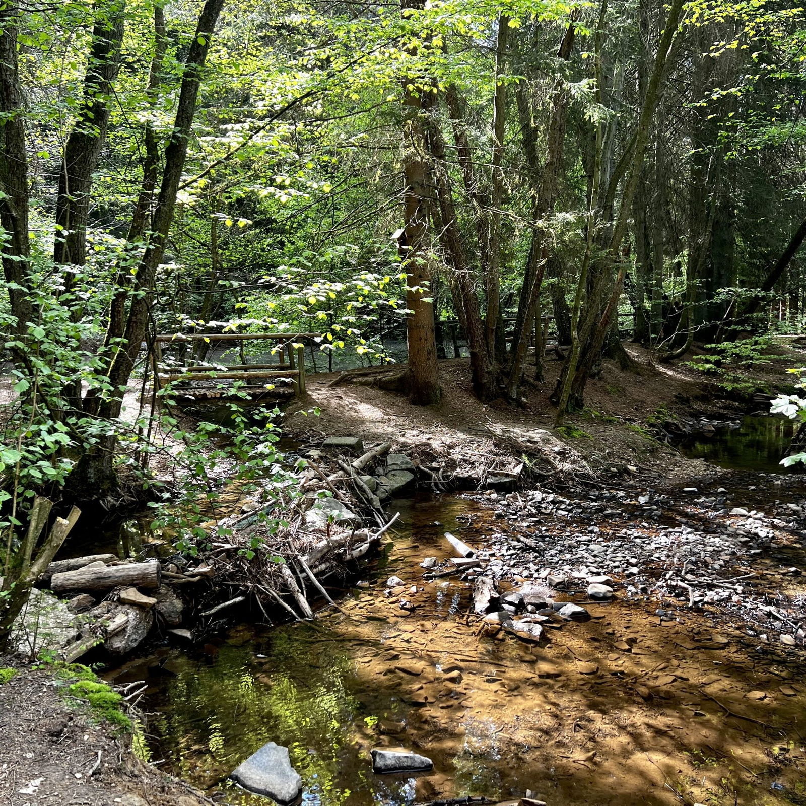 Brexbach am schwarzen Meer