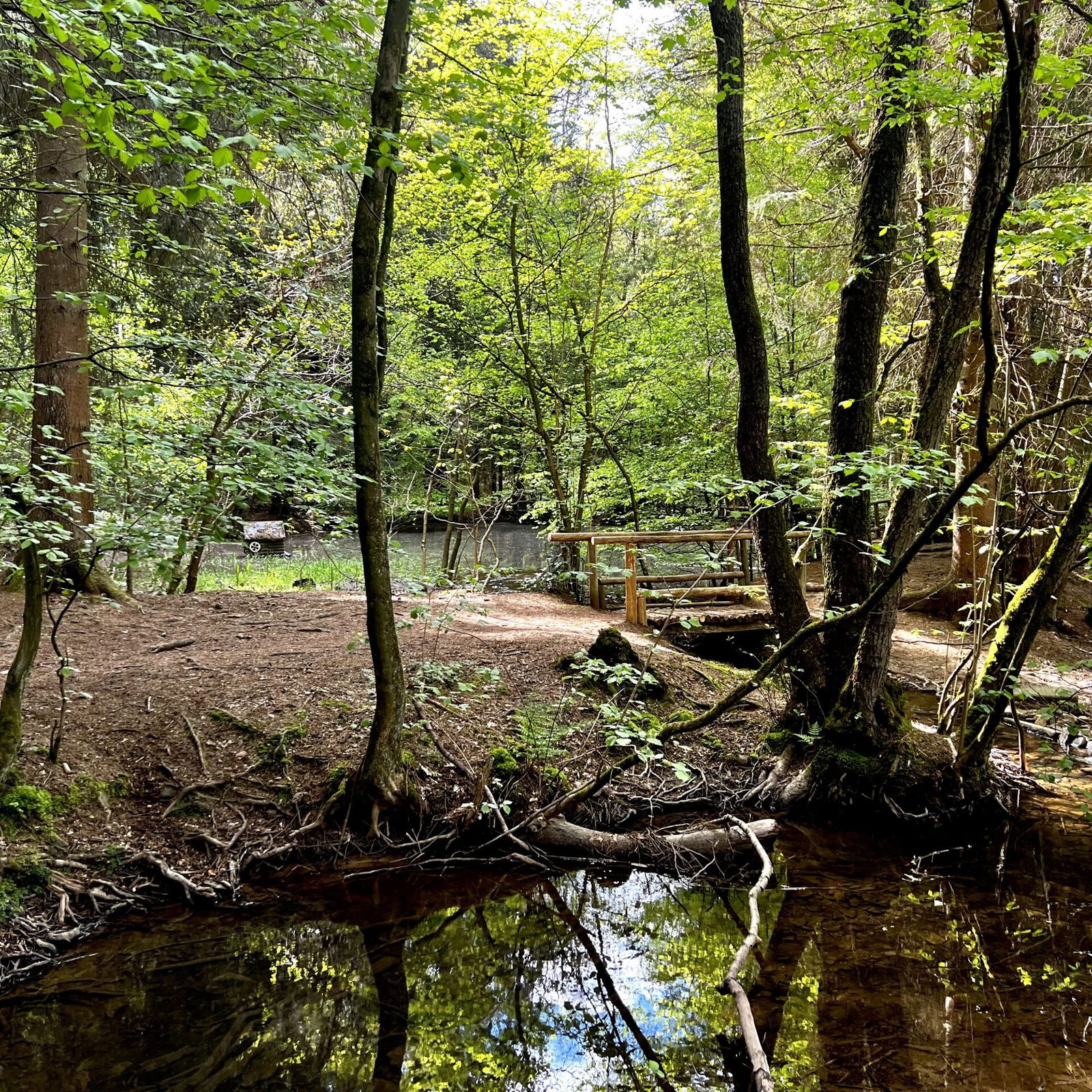 Brexbach am schwarzen Meer am scharzen Meer