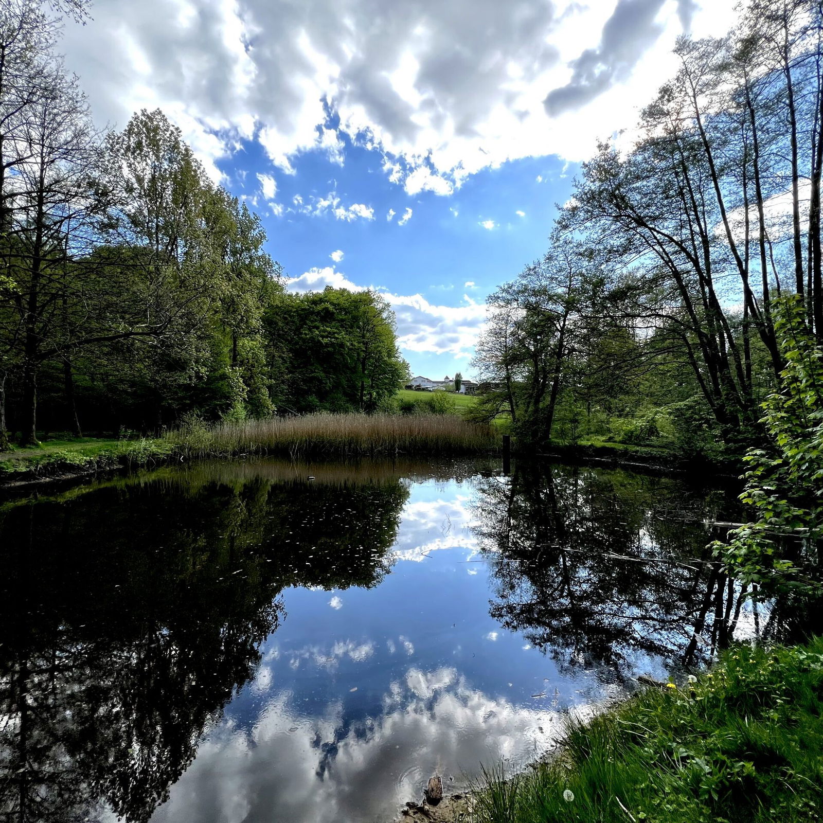 Am Fischweiher unterhalb vom Hotel Heinz