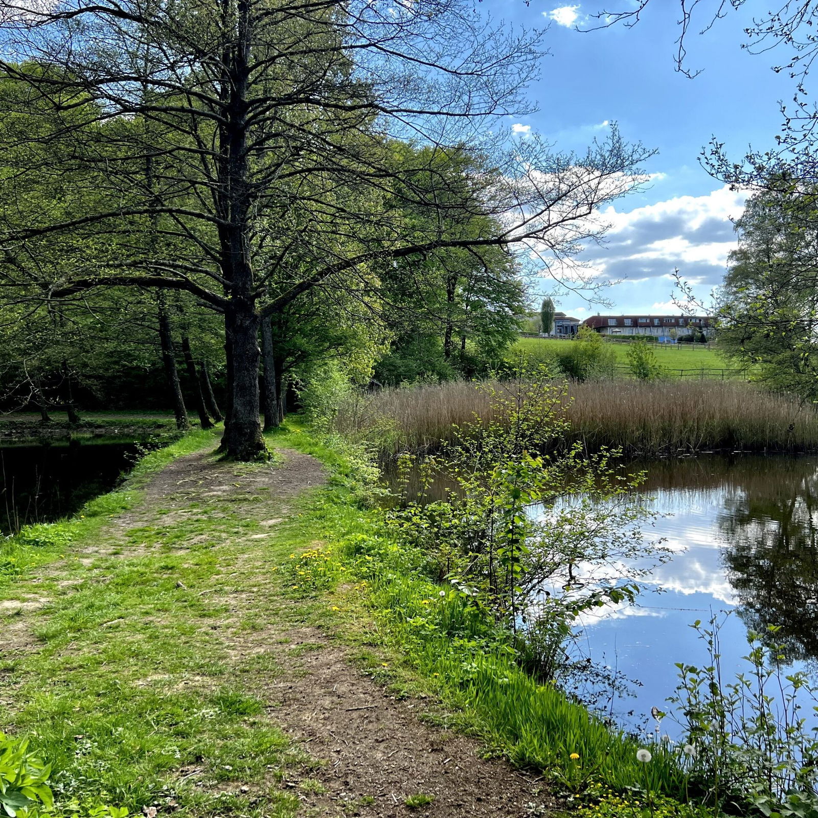 Am Fischweiher unterhalb vom Hotel Heinz