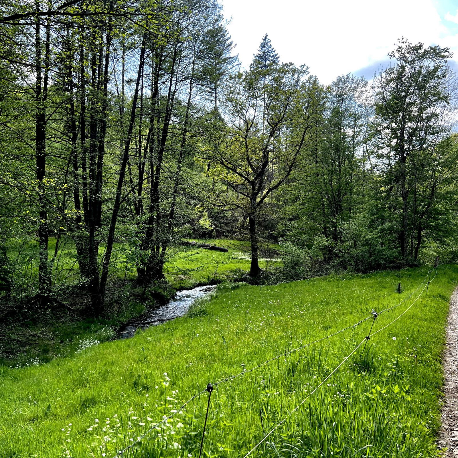 Im Feisternachtbachtal