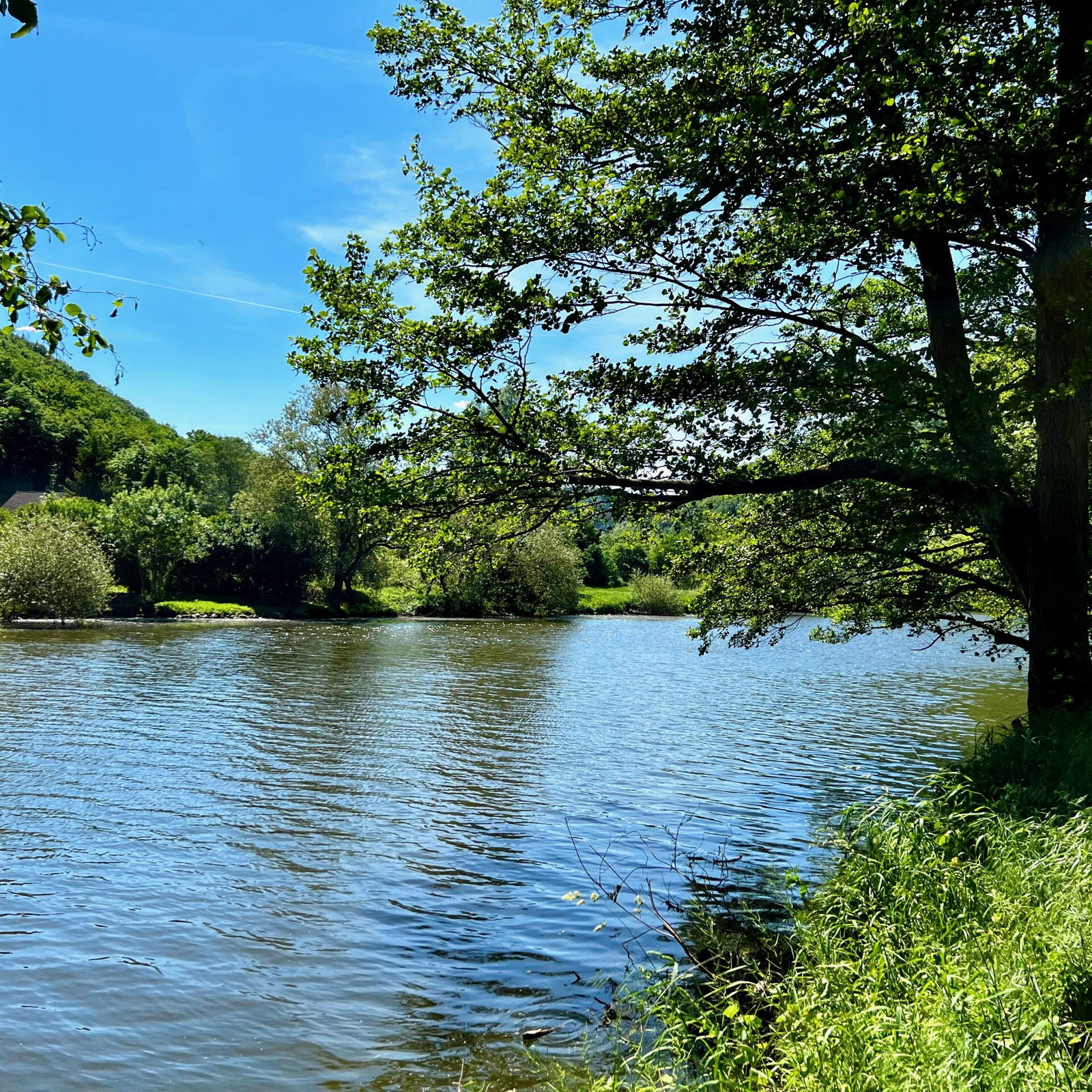 Blick auf die Lahn vom Radweg