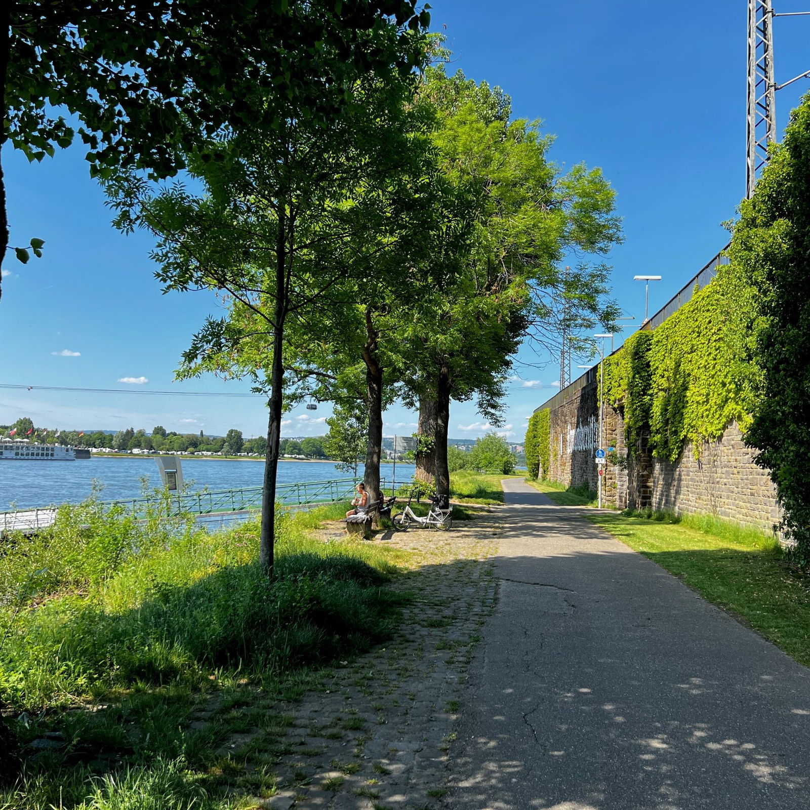 Radweg in Koblenz, Richtung Vallendar