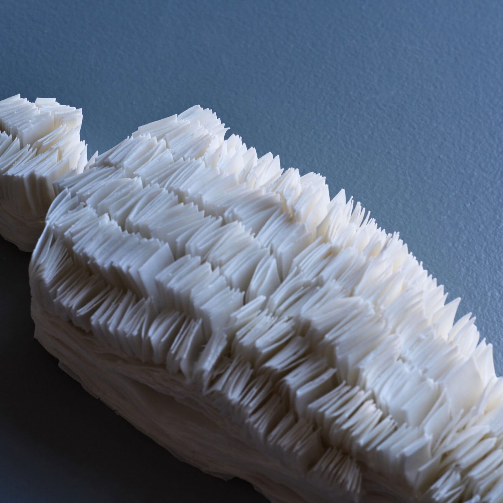 Daniela Polz © Articus & Röttgen Fotografie