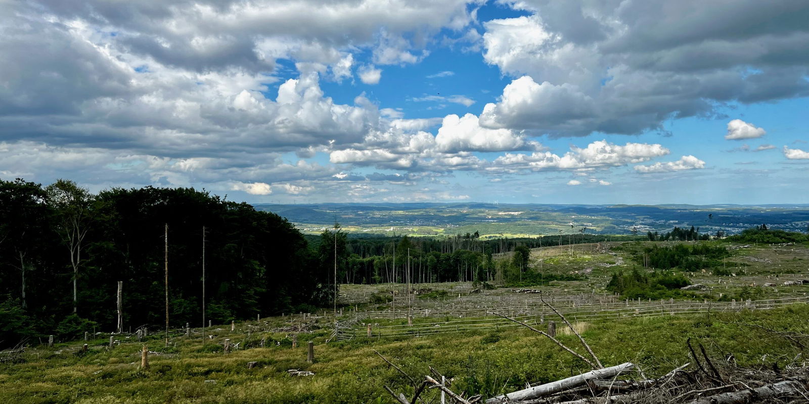 Blick in den Westerwald
