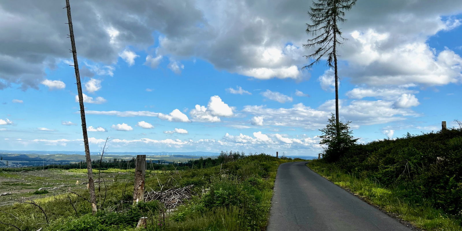 Immer weiter bergauf zum Köppel