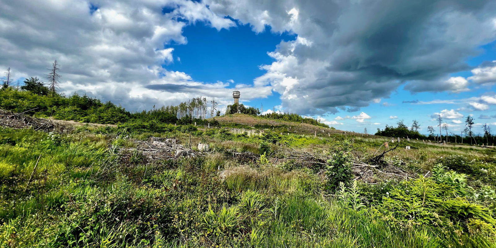 Aussichtsturm des Köppels in Sicht