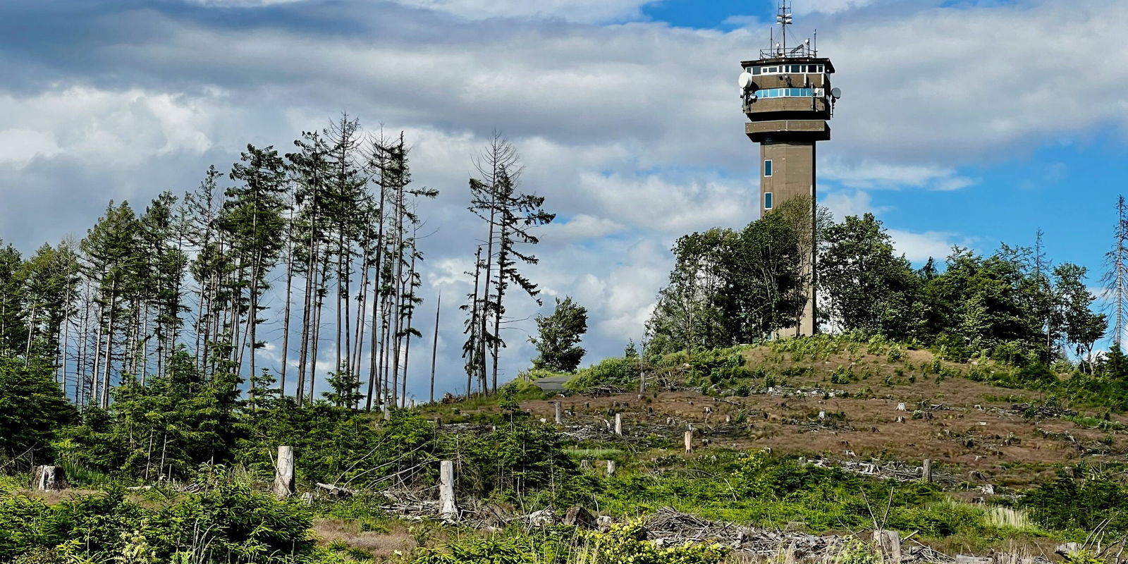 Der Aussichtsturm auf dem Köppel