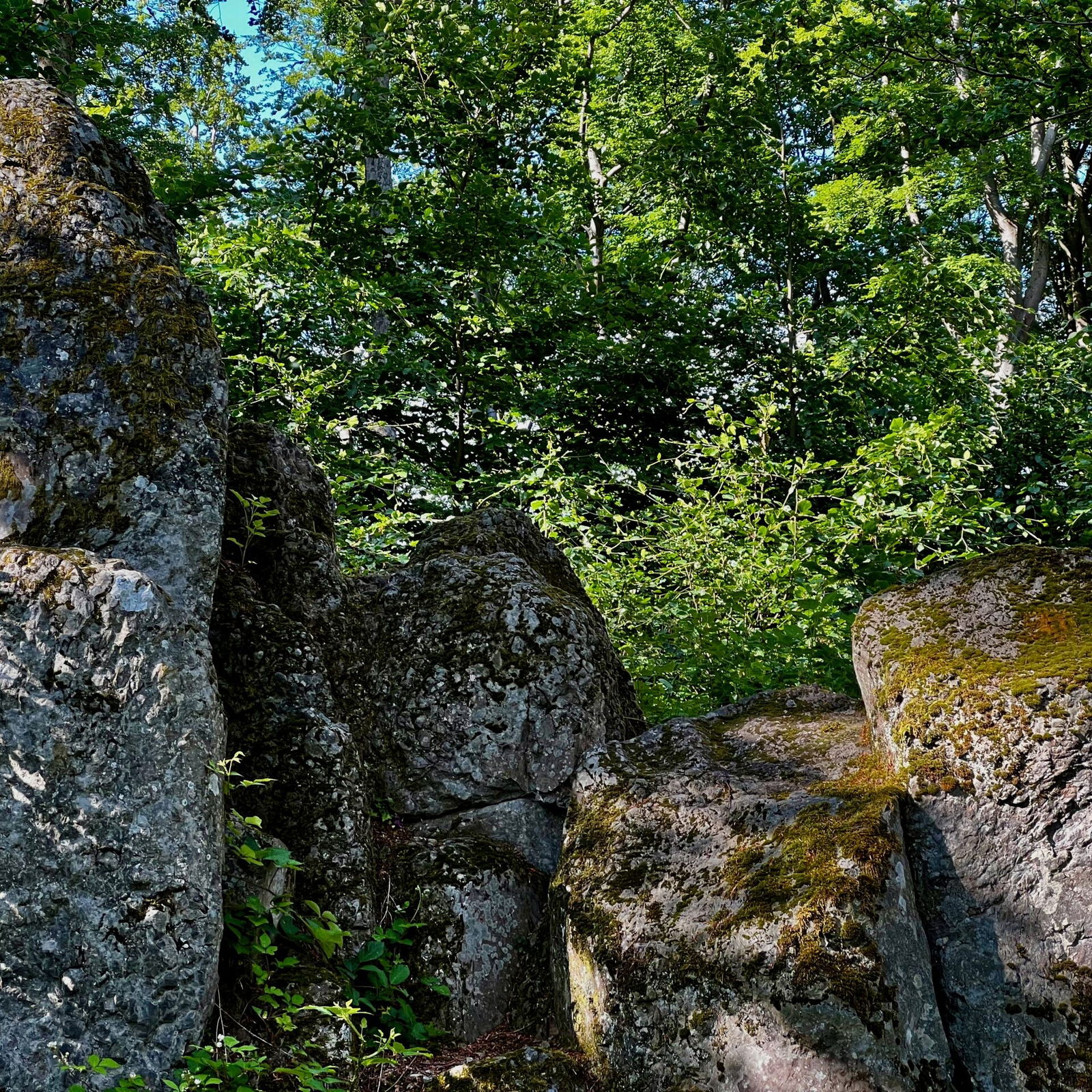 Indianerfelsen - Vulkanisches Gestein