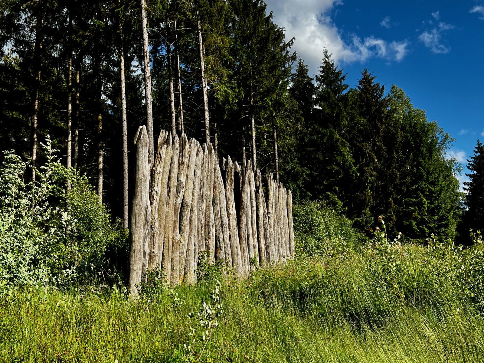 Rekonstruierte Palisade