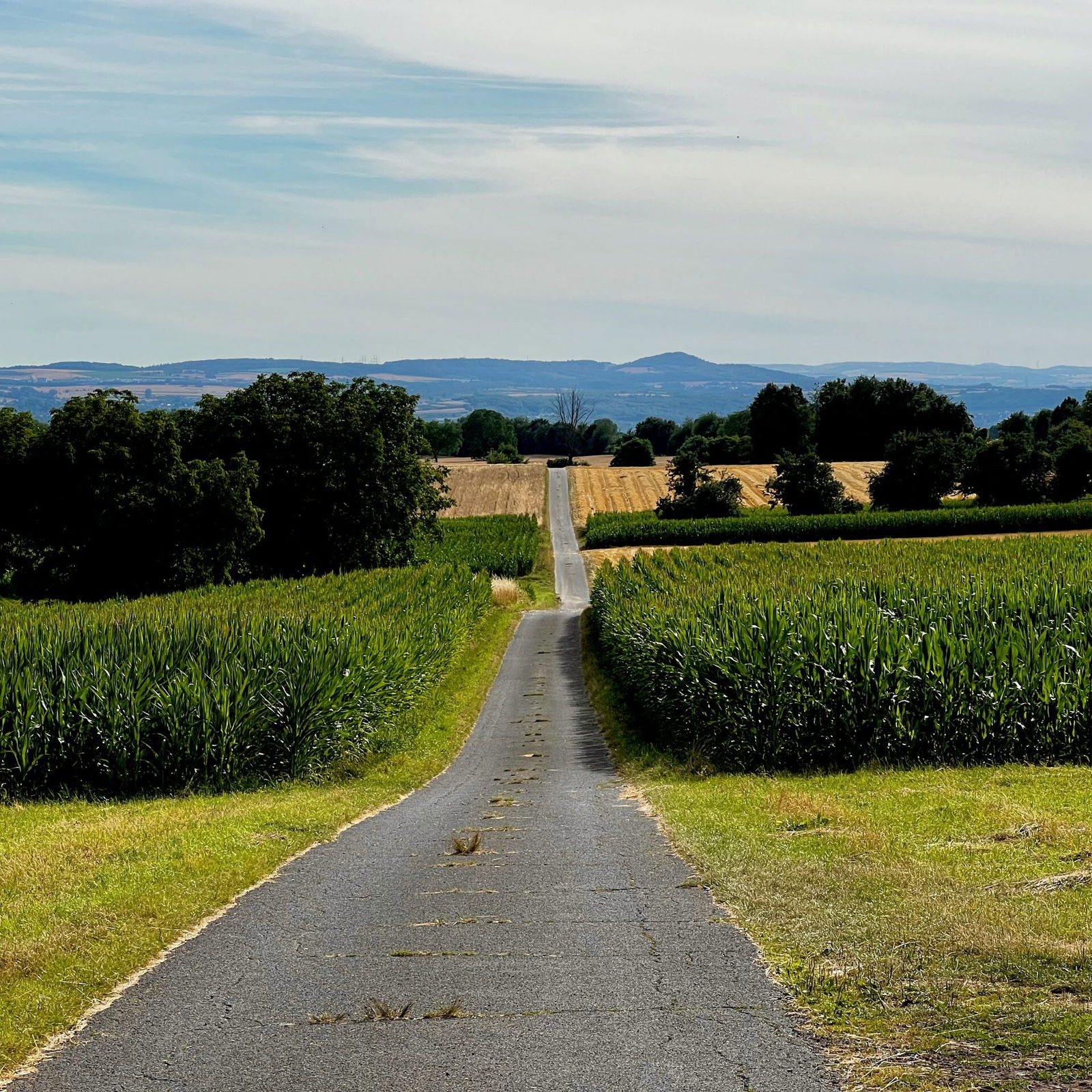 Weitblick über das Rheintal hinweg