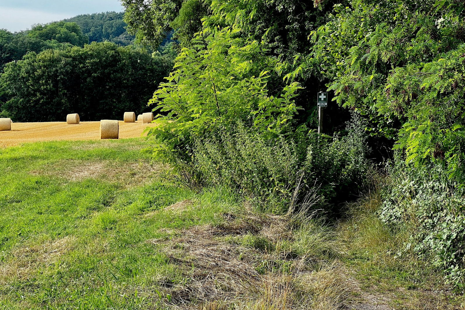 Rechts, die Brennnesseleinfahrt zum