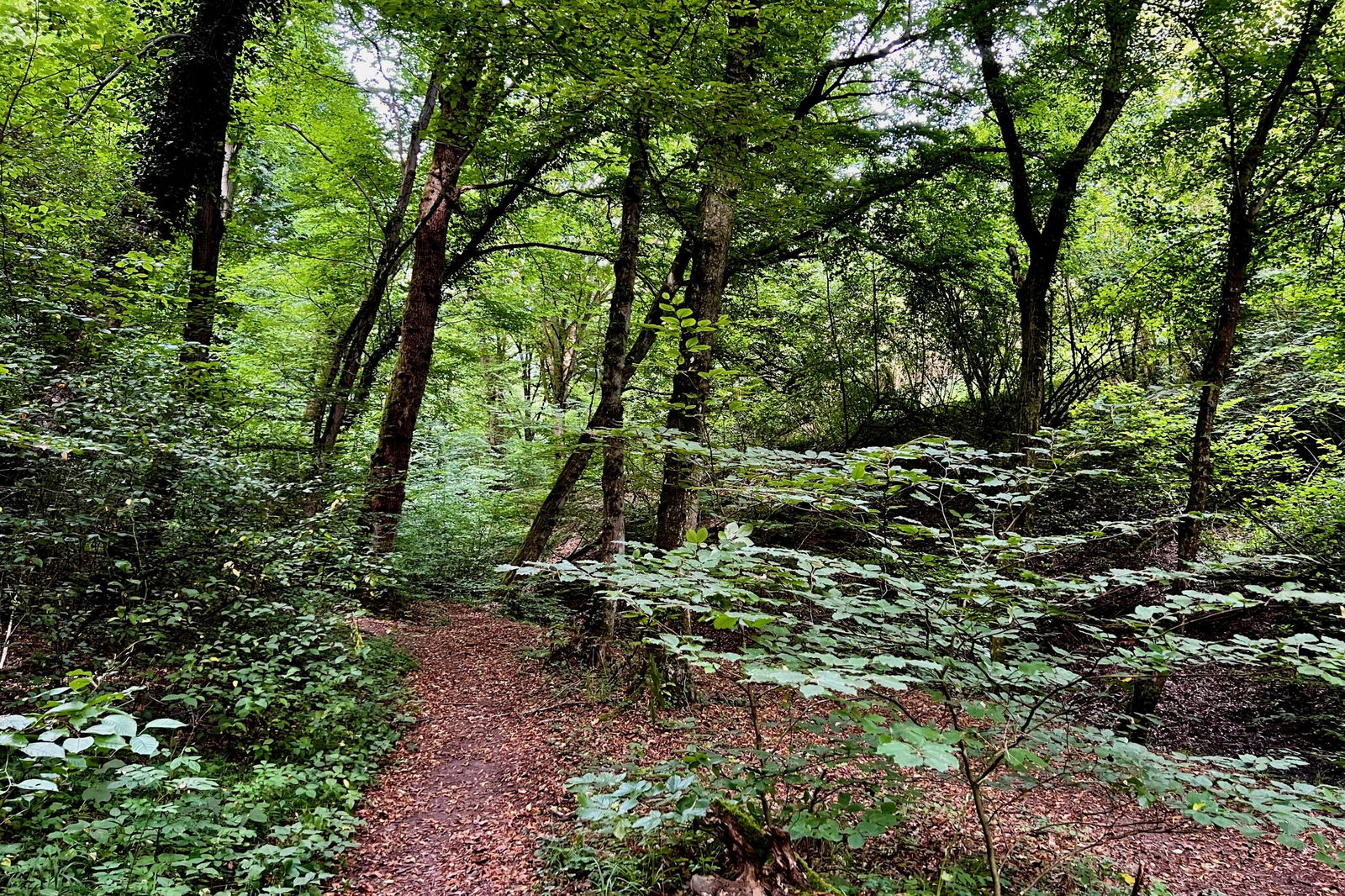 Wieder unten angekommen, fährt es sich entspannter.