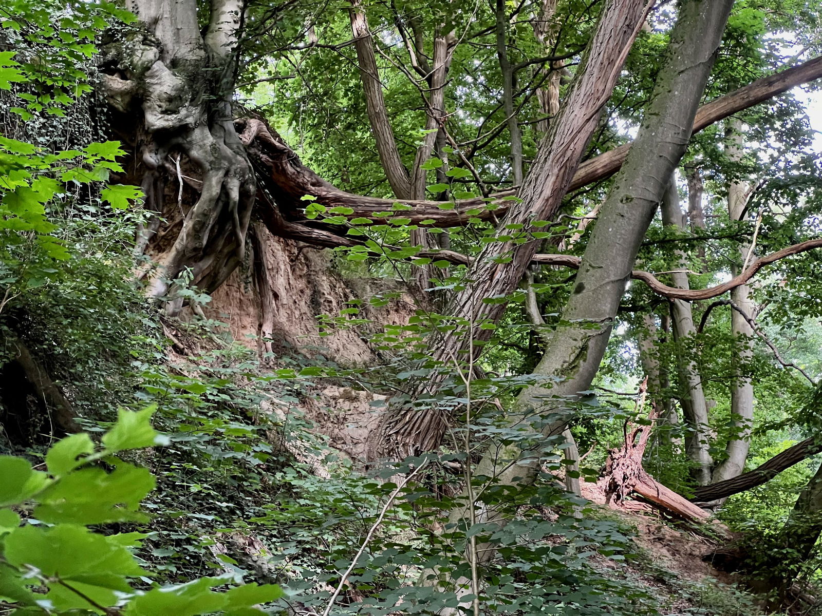 Spannende Blicke in der Hohl