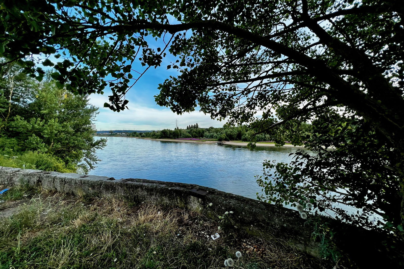 Fantastischer Blick auf den Rhein