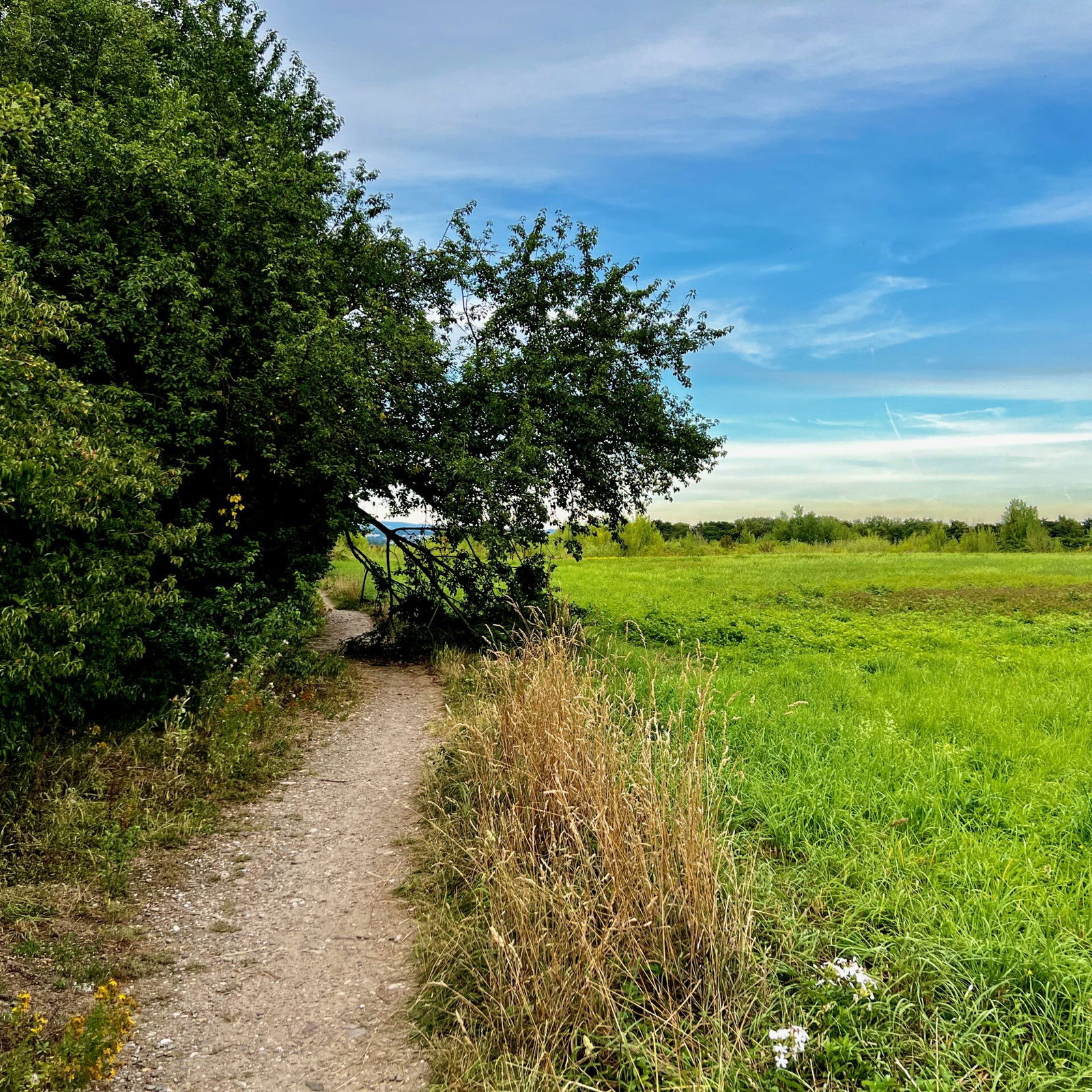 Auf ins Engerser Feld