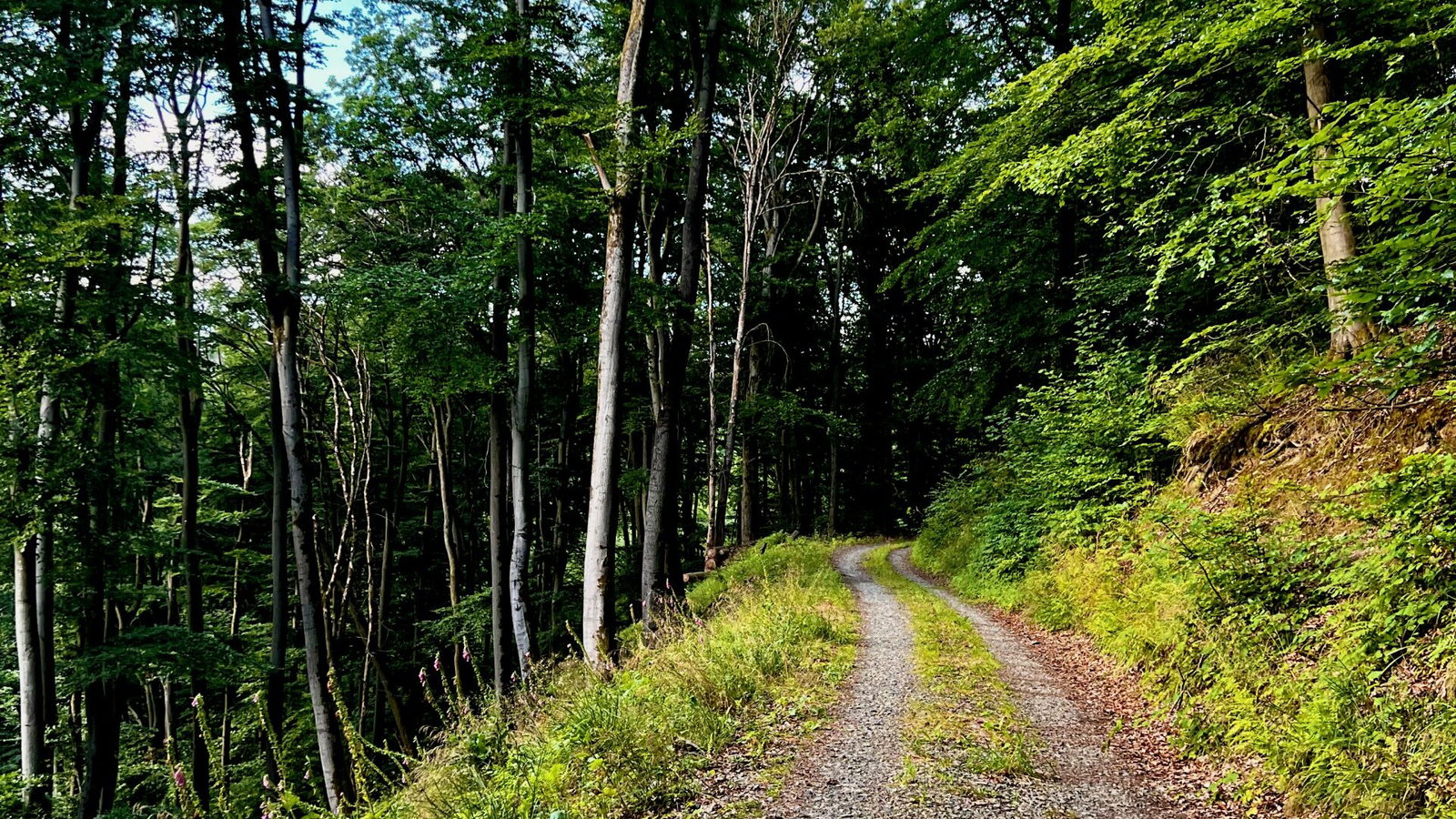 Immer weiter bergauf, fast geschafft