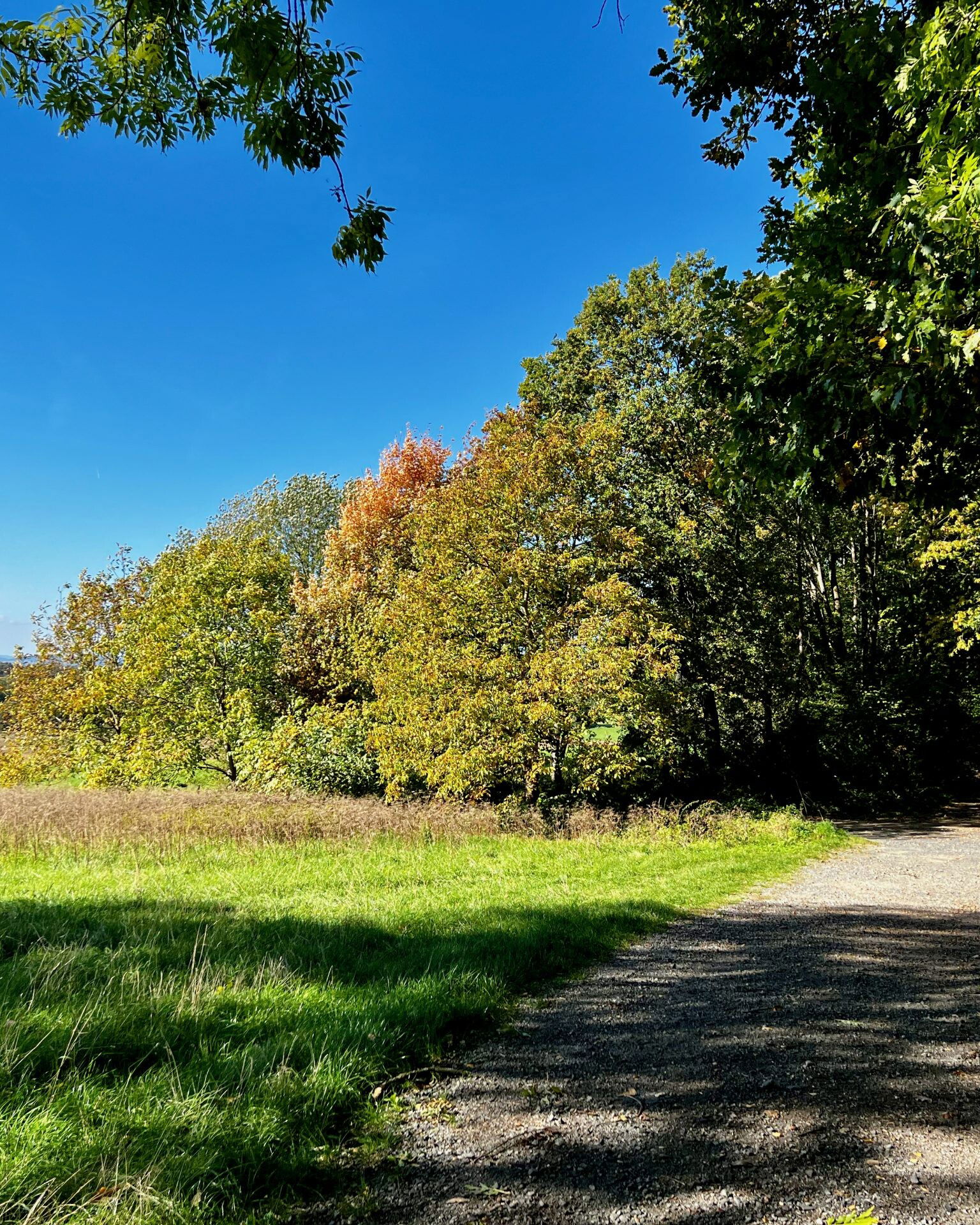 Auf der Höhe angekommen, weiter zwischen Feldern hindurch