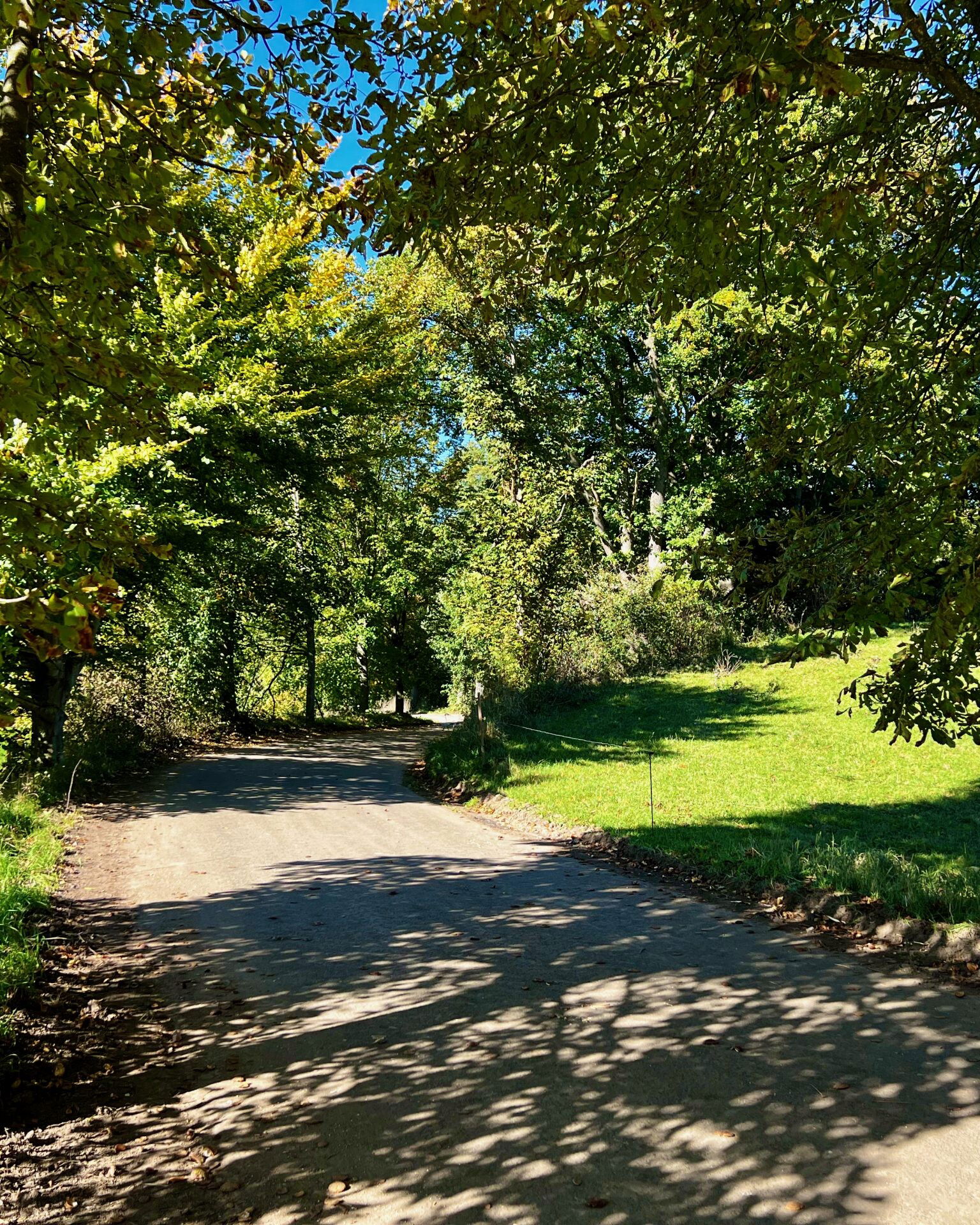 Weiter auf asphaltierten Wegen