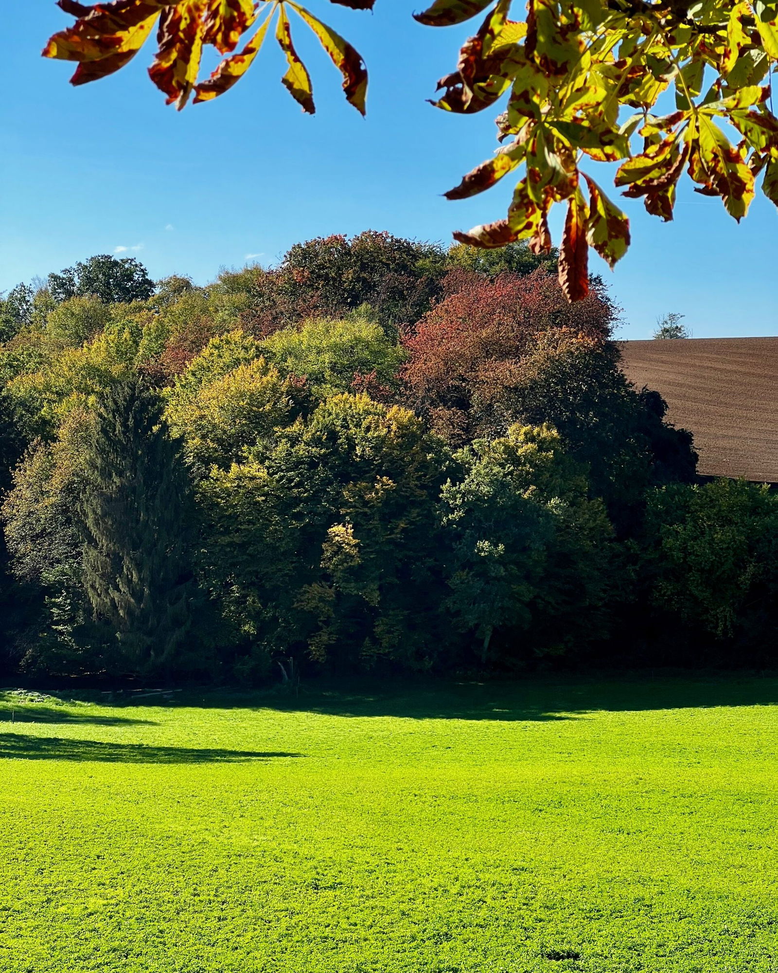Der Herbst kommt so langsam