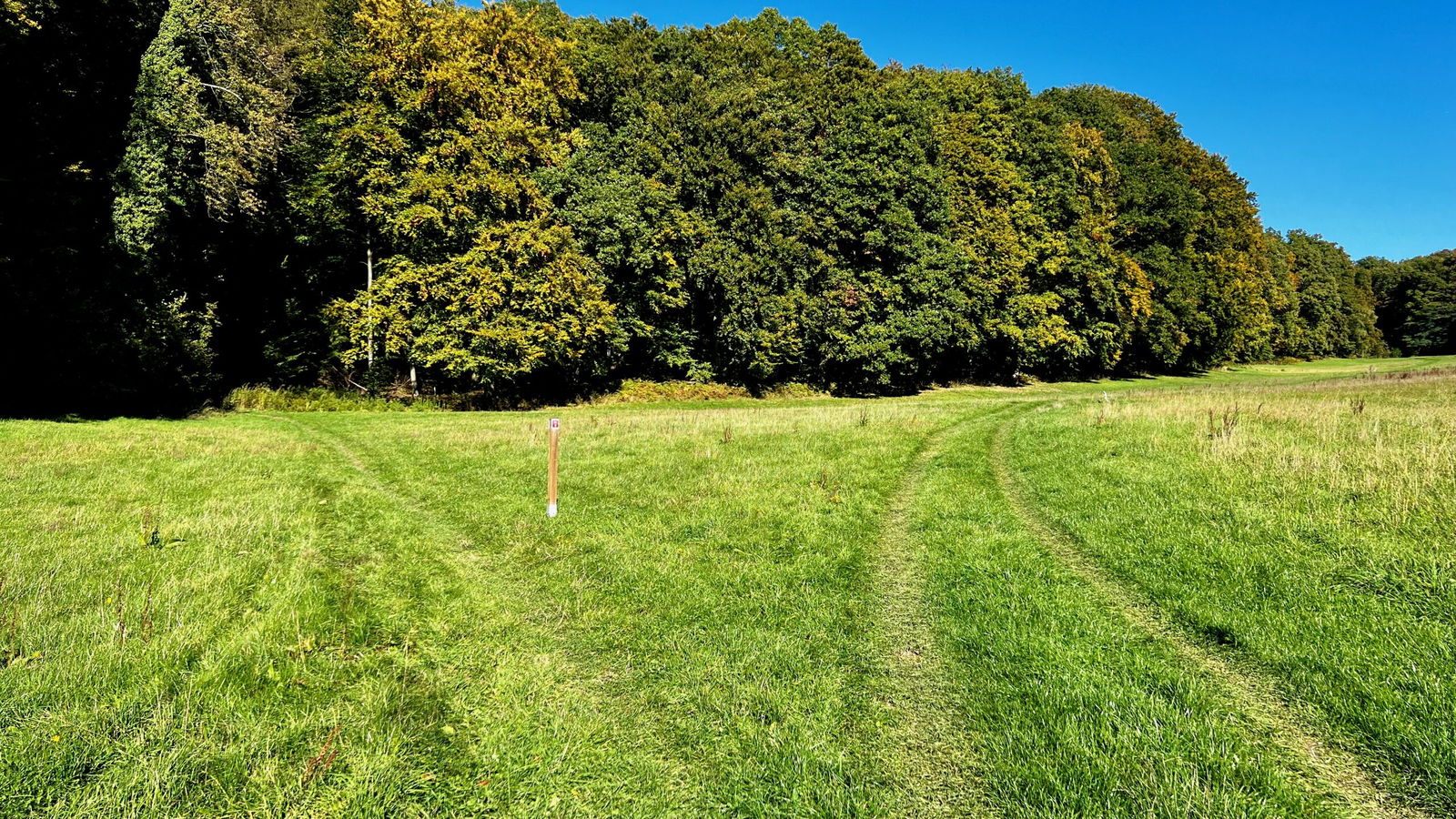 Wo geht`s weiter? Links oder rechts? Ein sch&ouml;ner Wiesenweg.