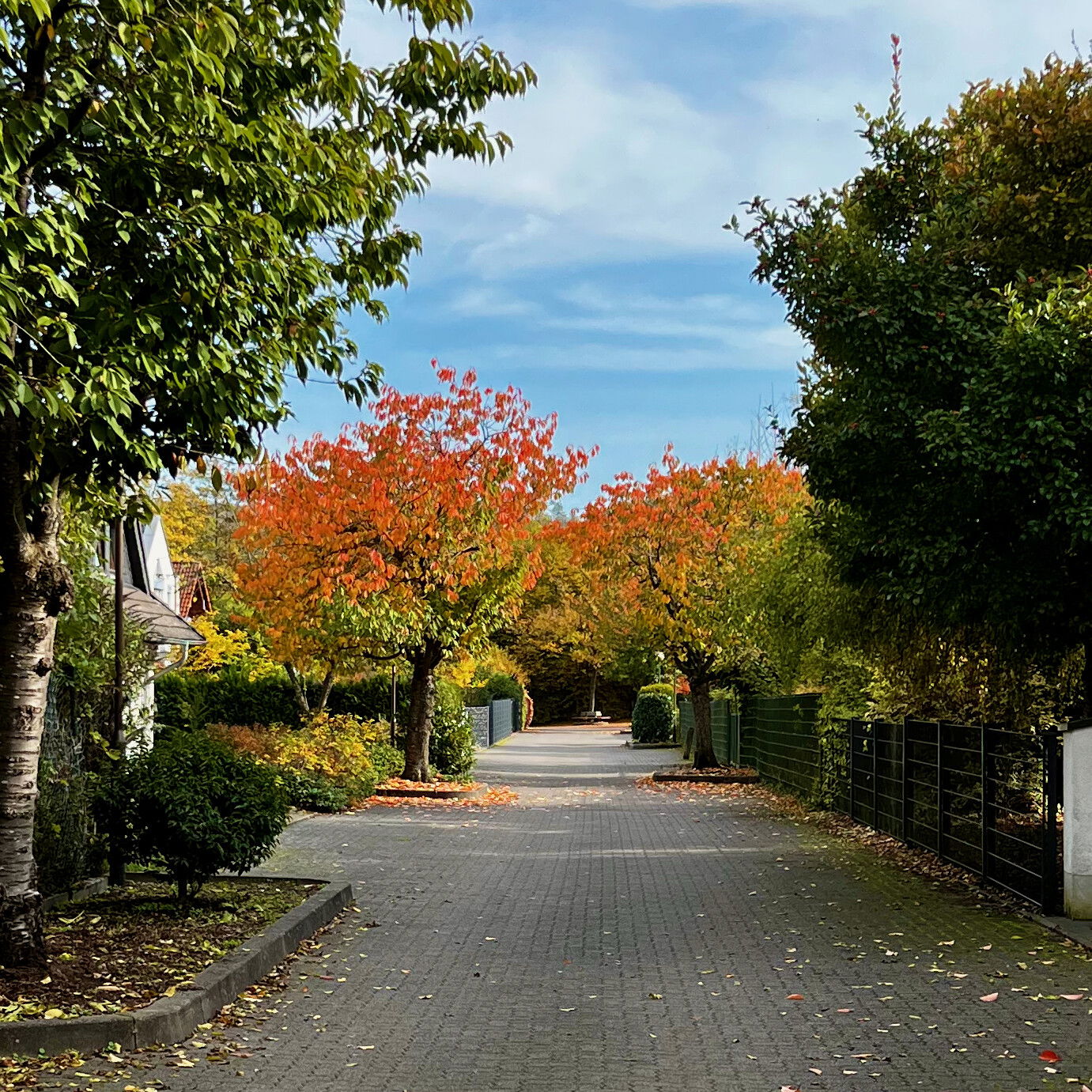Der goldene Oktober ist angekommen