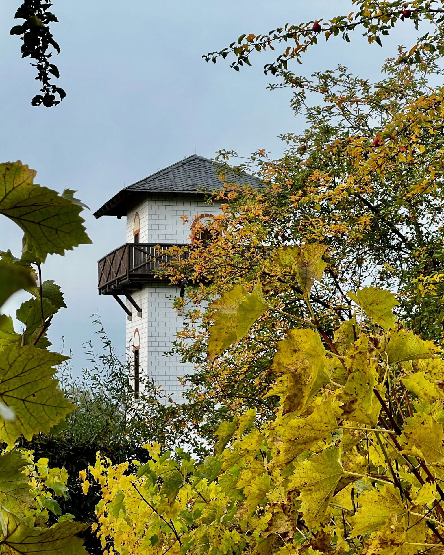 Der Limesturm in Hillscheid