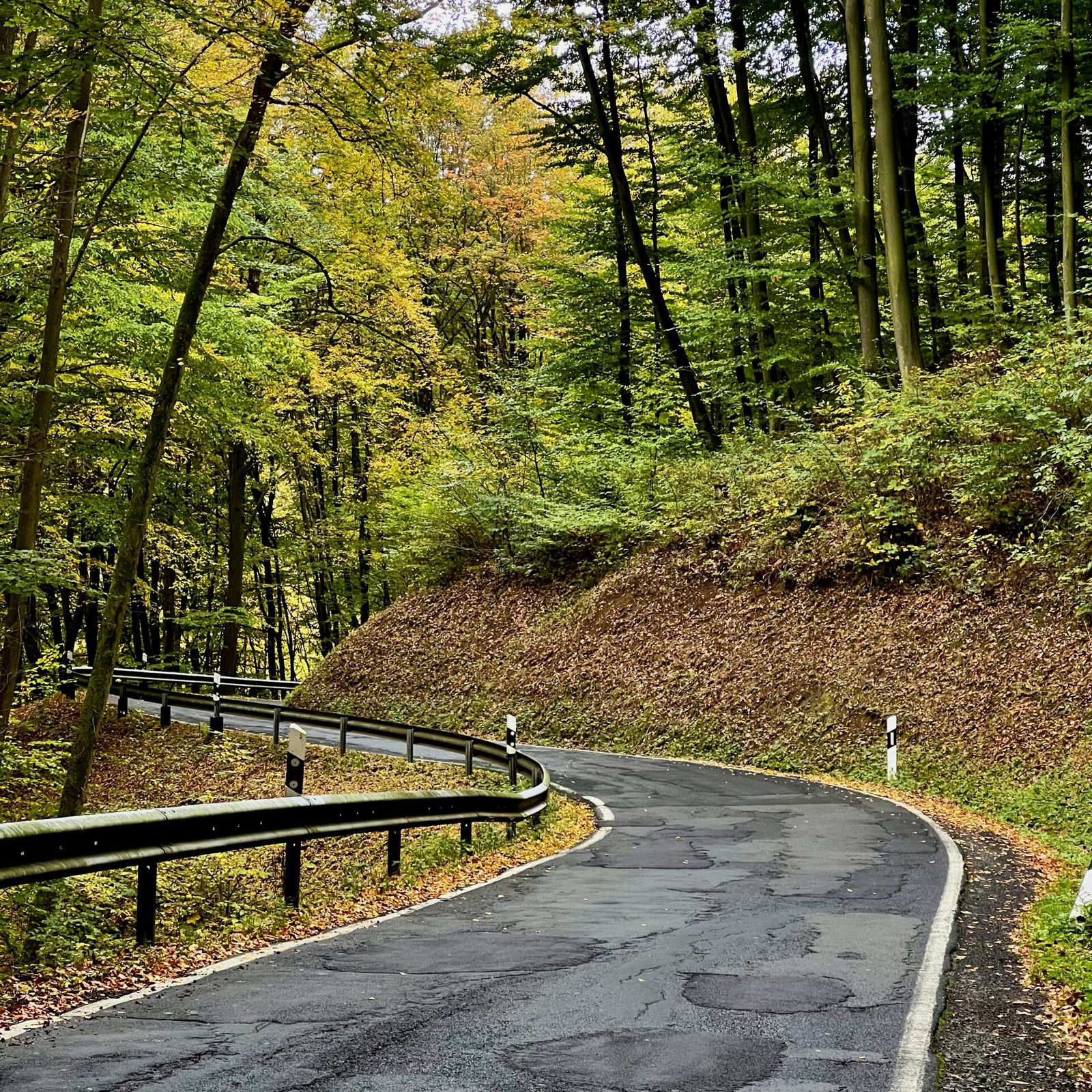Wunderbare Piste bergab