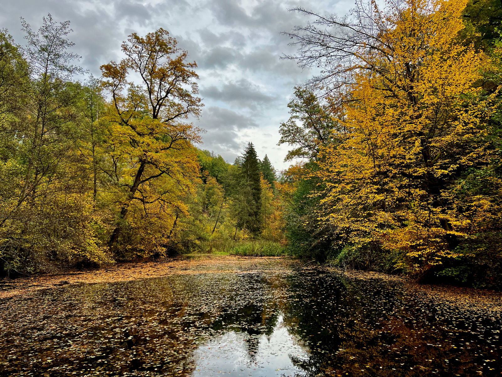 Herbst im Feisternachtbachtal