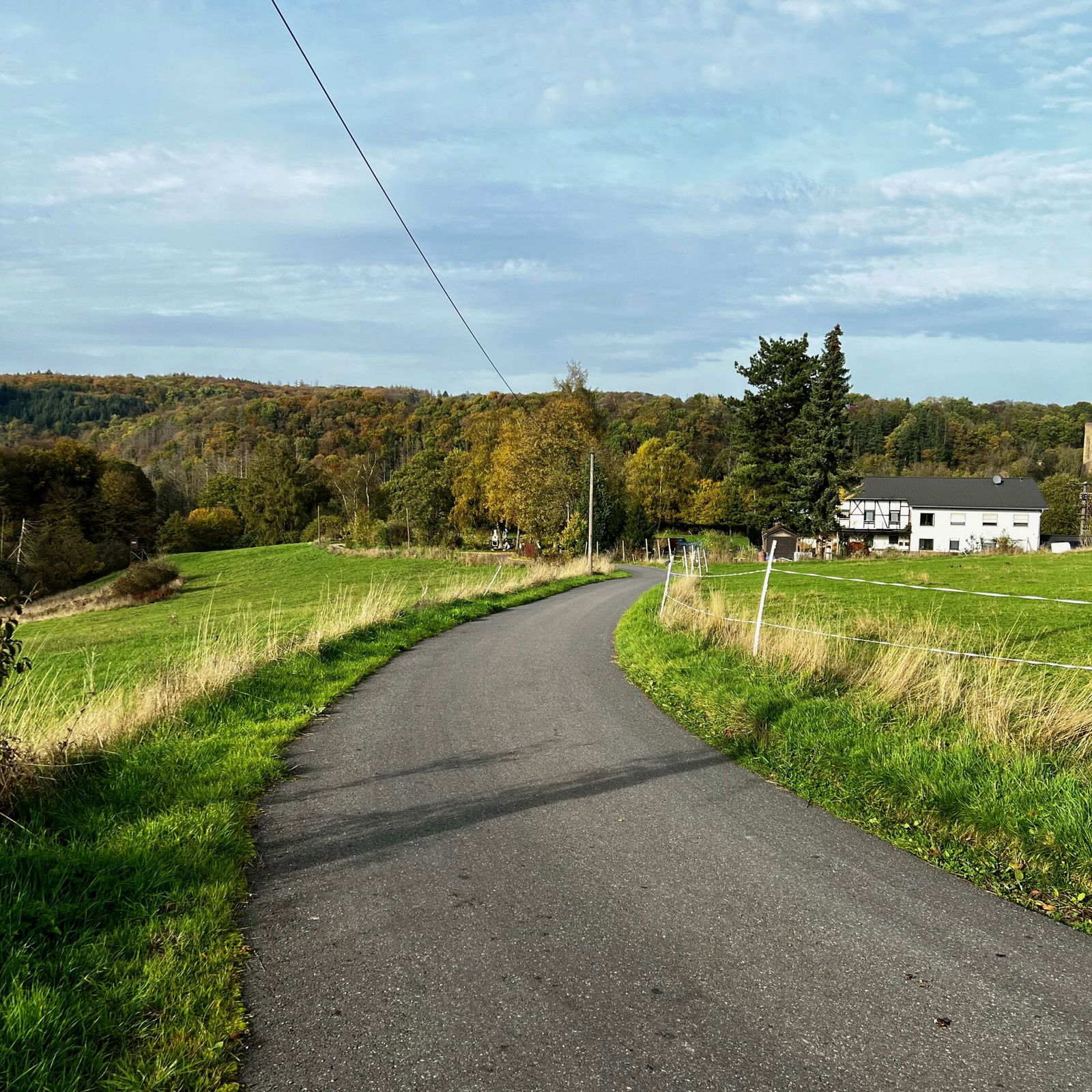 Auf dem Birkenflur, anfangs noch einfach zu fahren