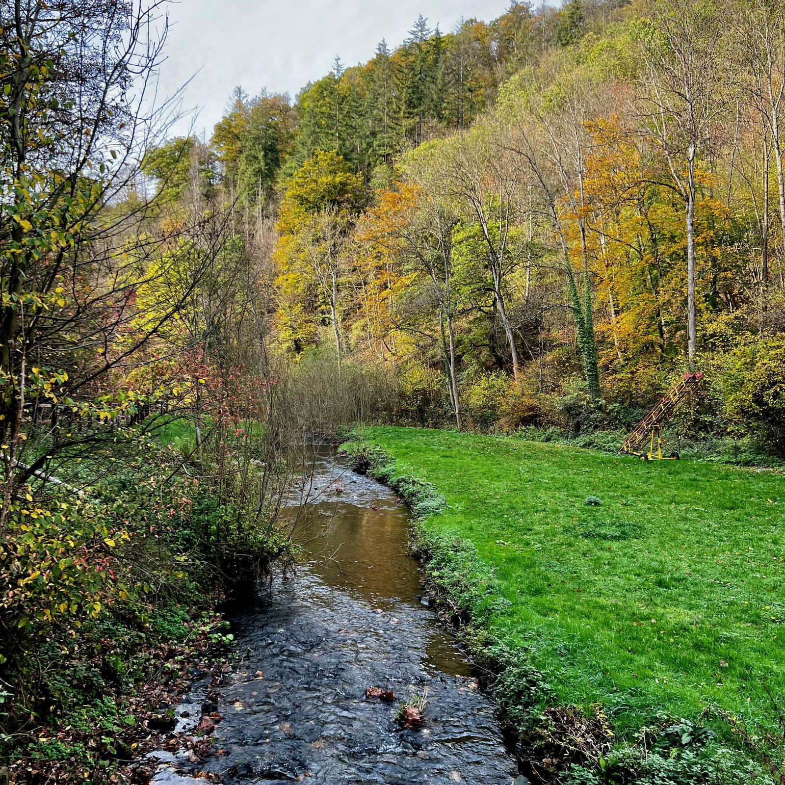 Der Brexbach bei der Schlossmühle