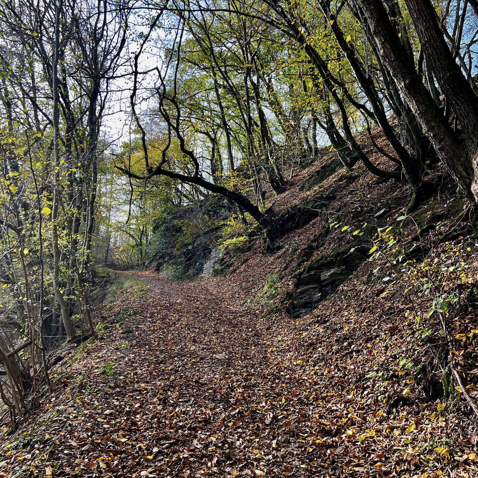 Bei der Mühle geht's links vorbei bergauf in den Wald
