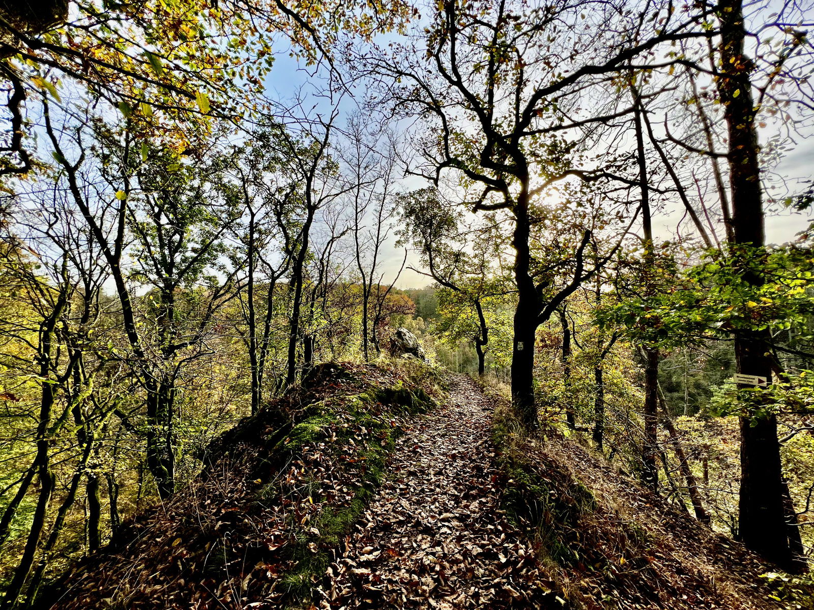 Blick auf den Kaiserstuhl