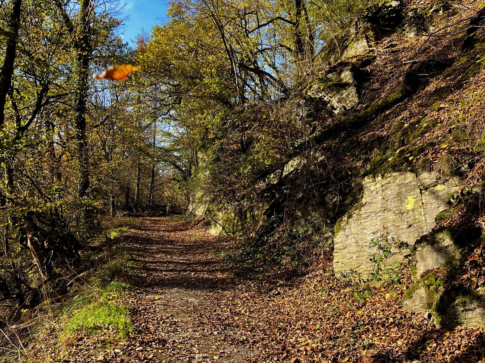 Bergauf auf dem Weg zum Kaiserstuhl