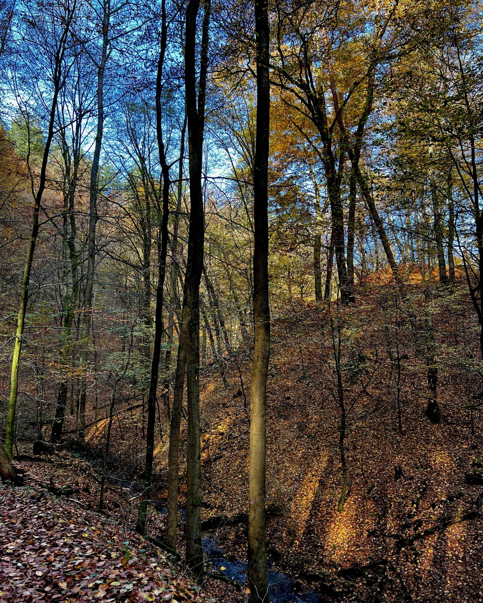 Am Sessenbach entlang