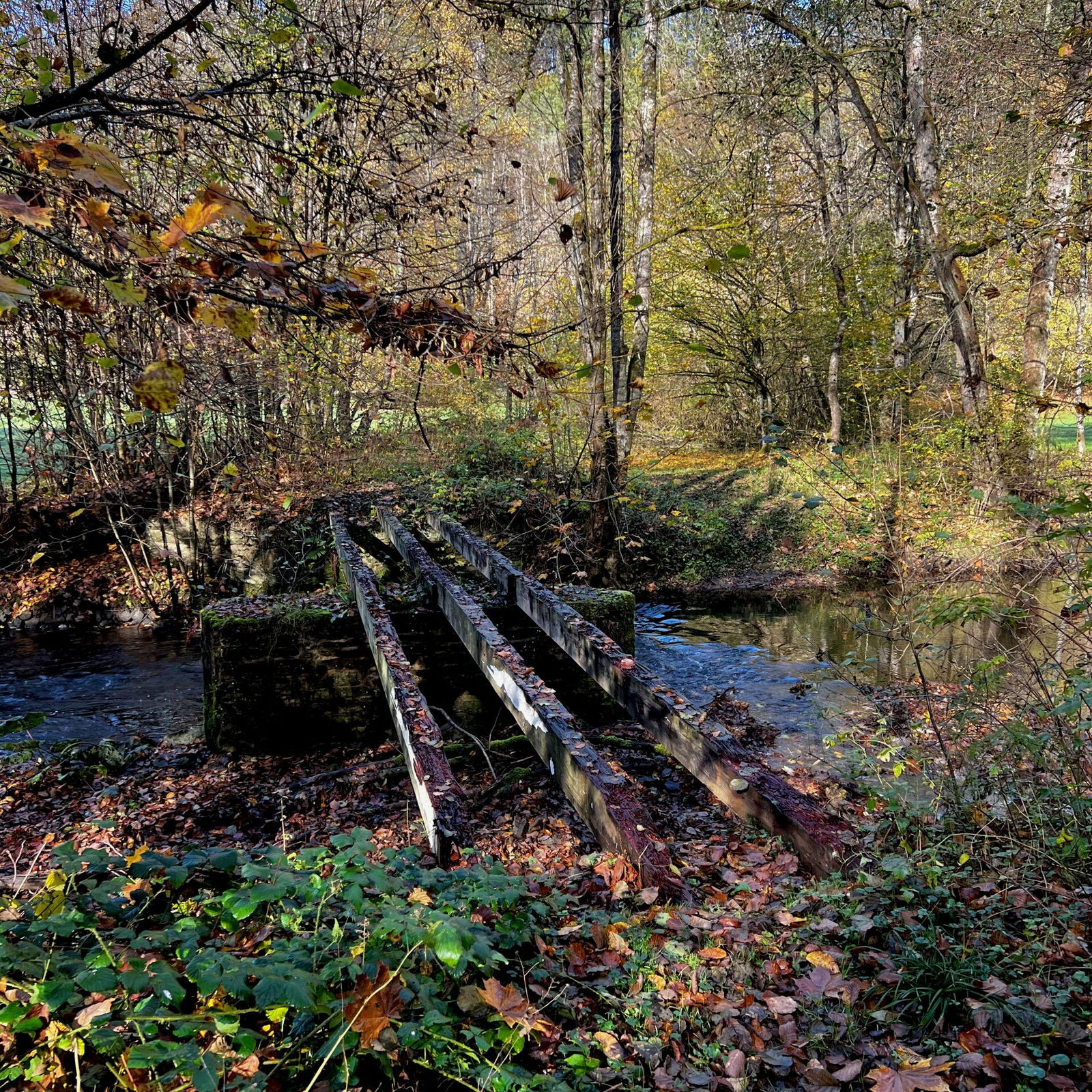 Das war wohl mal eine Brücke über den Saynbach