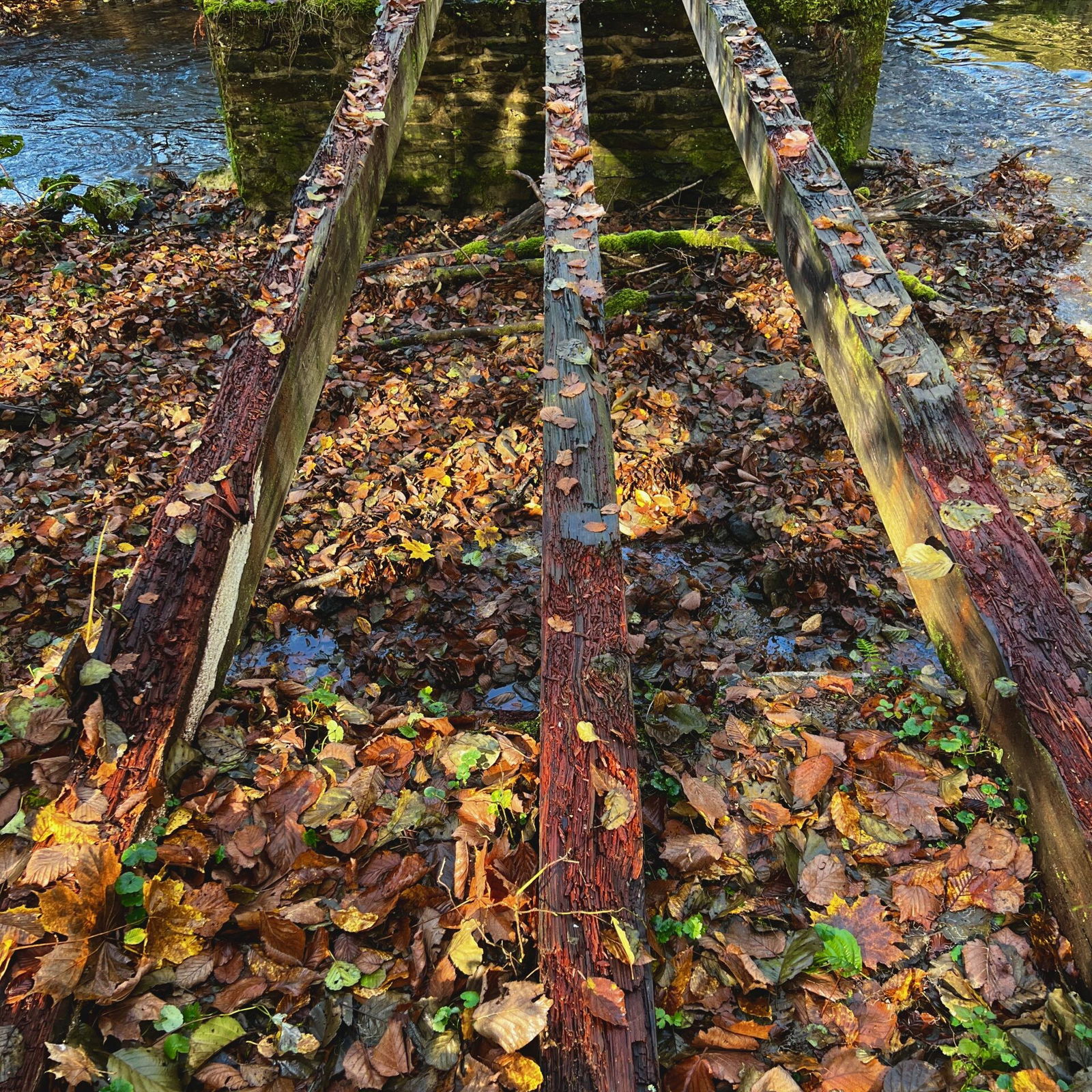 Was? Hier rüber? Lieber nicht.