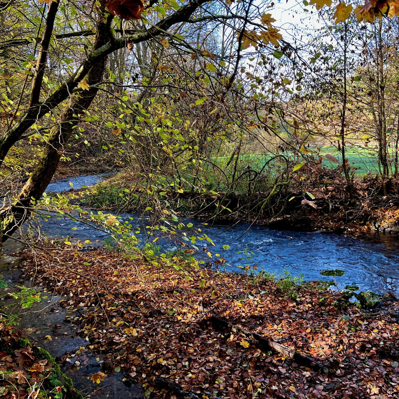Eigentlich sehr schön hier.