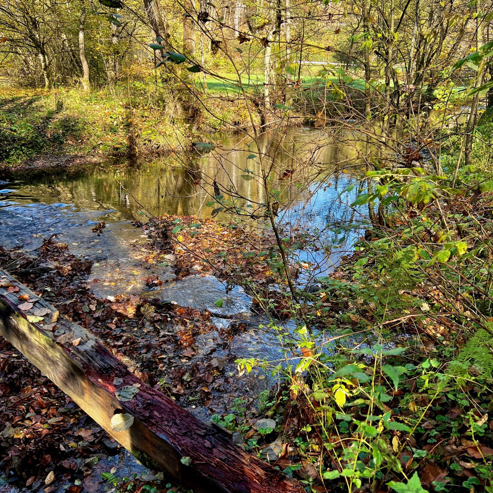 Die Balken sind sehr morsch